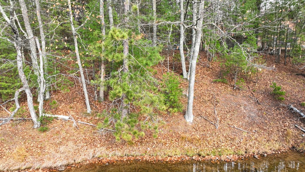 Little St. Germain Property Lot 1 Snooks Ln Photo 12