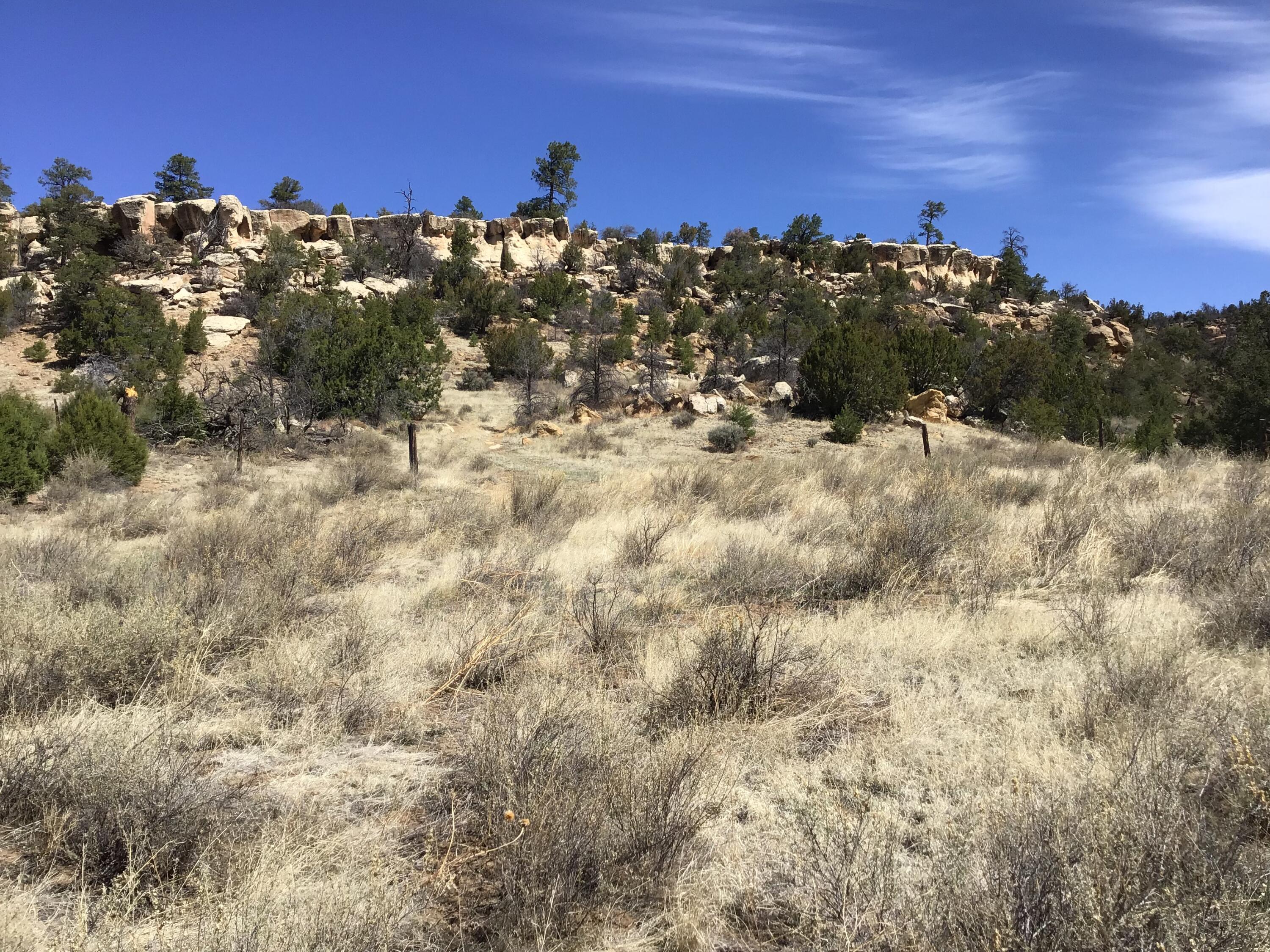 Homes for sale in Ramah, NM | 3239 Hwy 53, Ramah, NM 87321 | MLS# 1082955