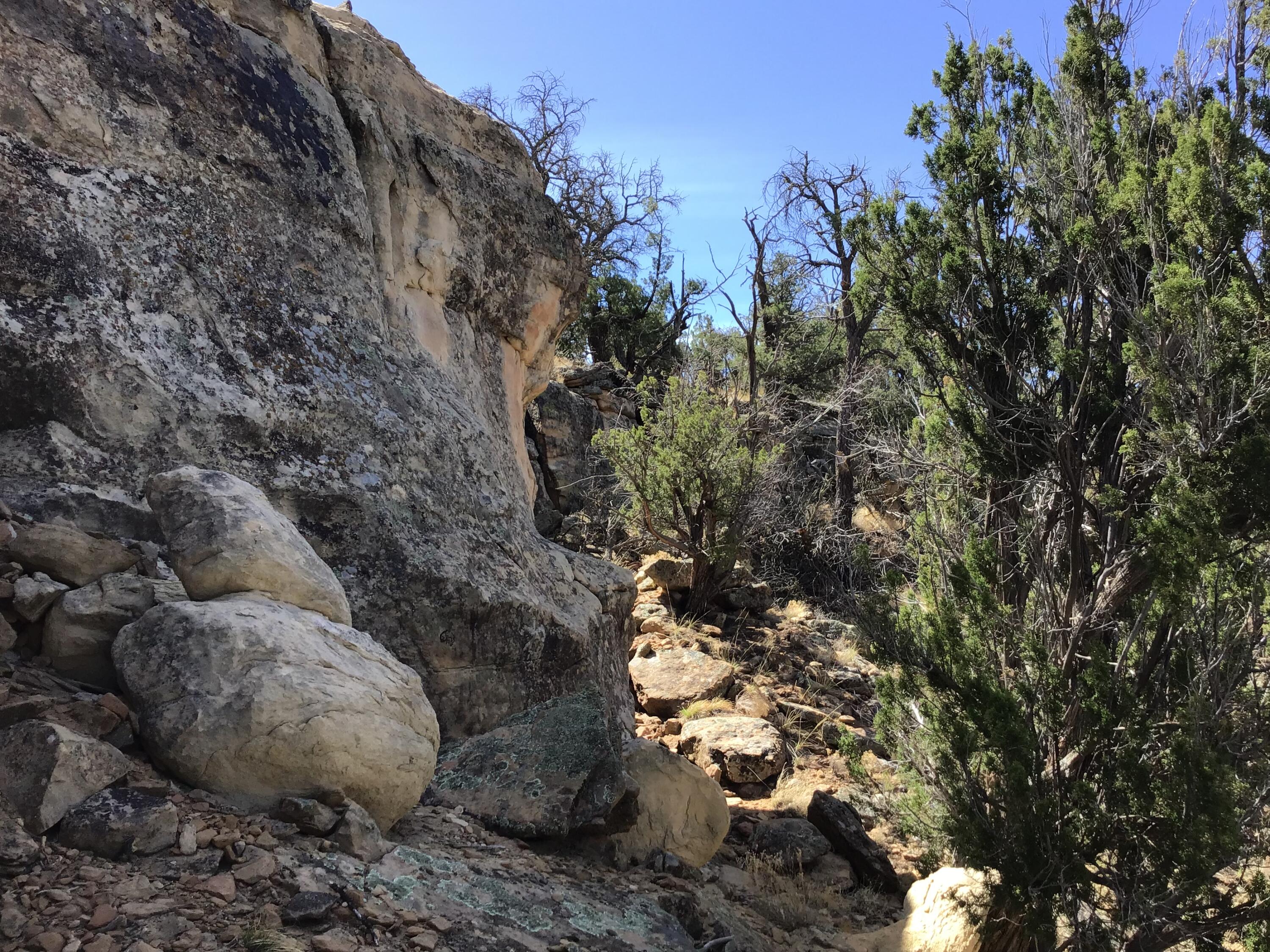 Homes for sale in Ramah, NM | 3239 Hwy 53, Ramah, NM 87321 | MLS# 1082955