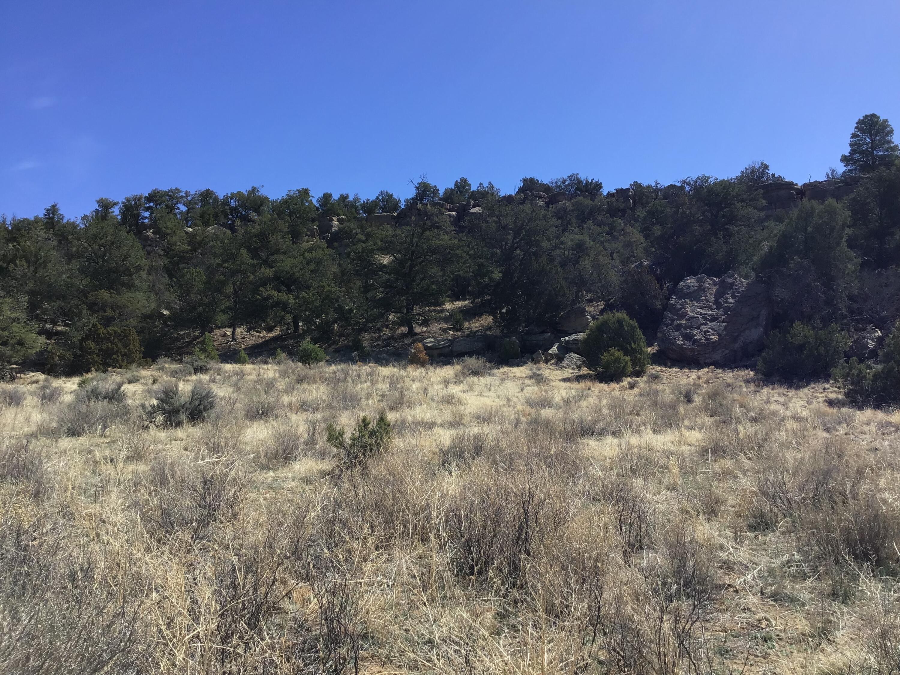 Homes for sale in Ramah, NM | 3239 Hwy 53, Ramah, NM 87321 | MLS# 1082955