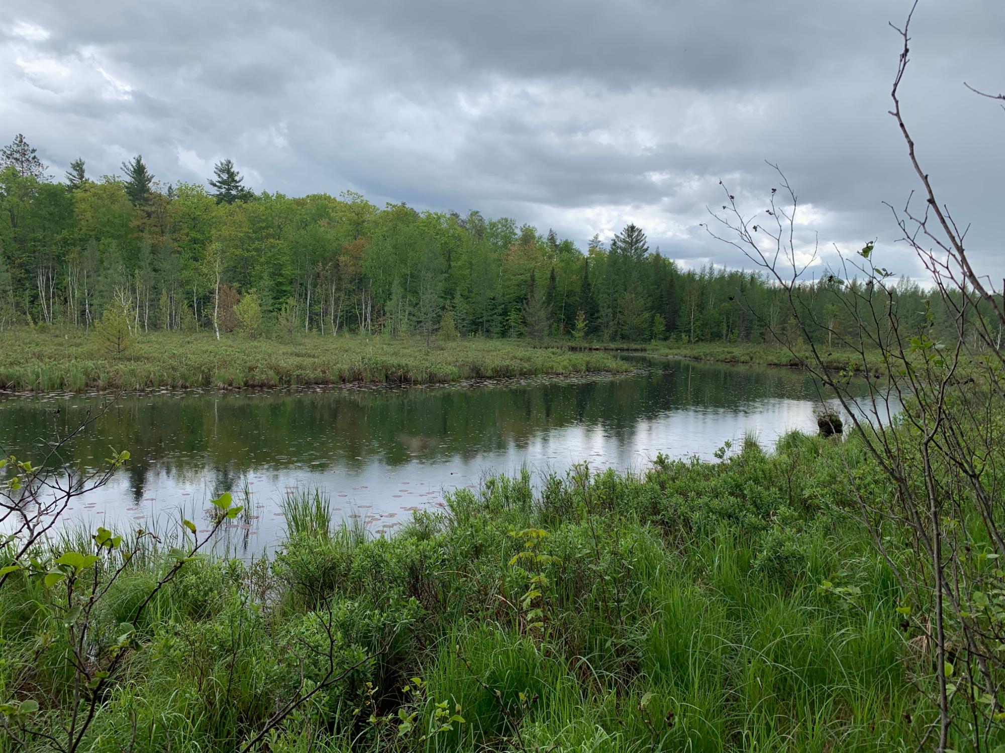 Undocumented Lake Property 0 Bear Tail Pt Photo 1