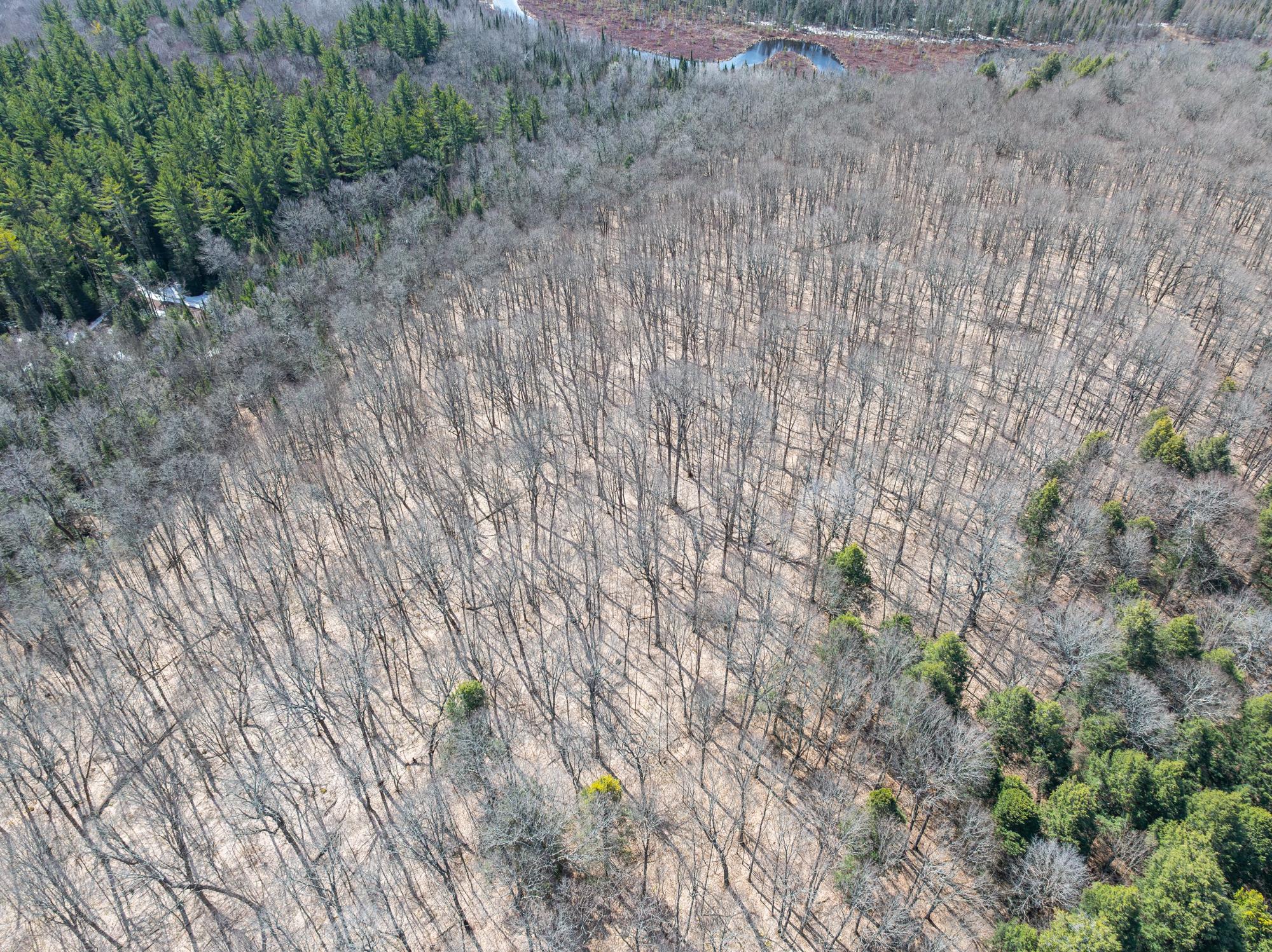 Undocumented Lake Property 0 Bear Tail Pt Photo 10