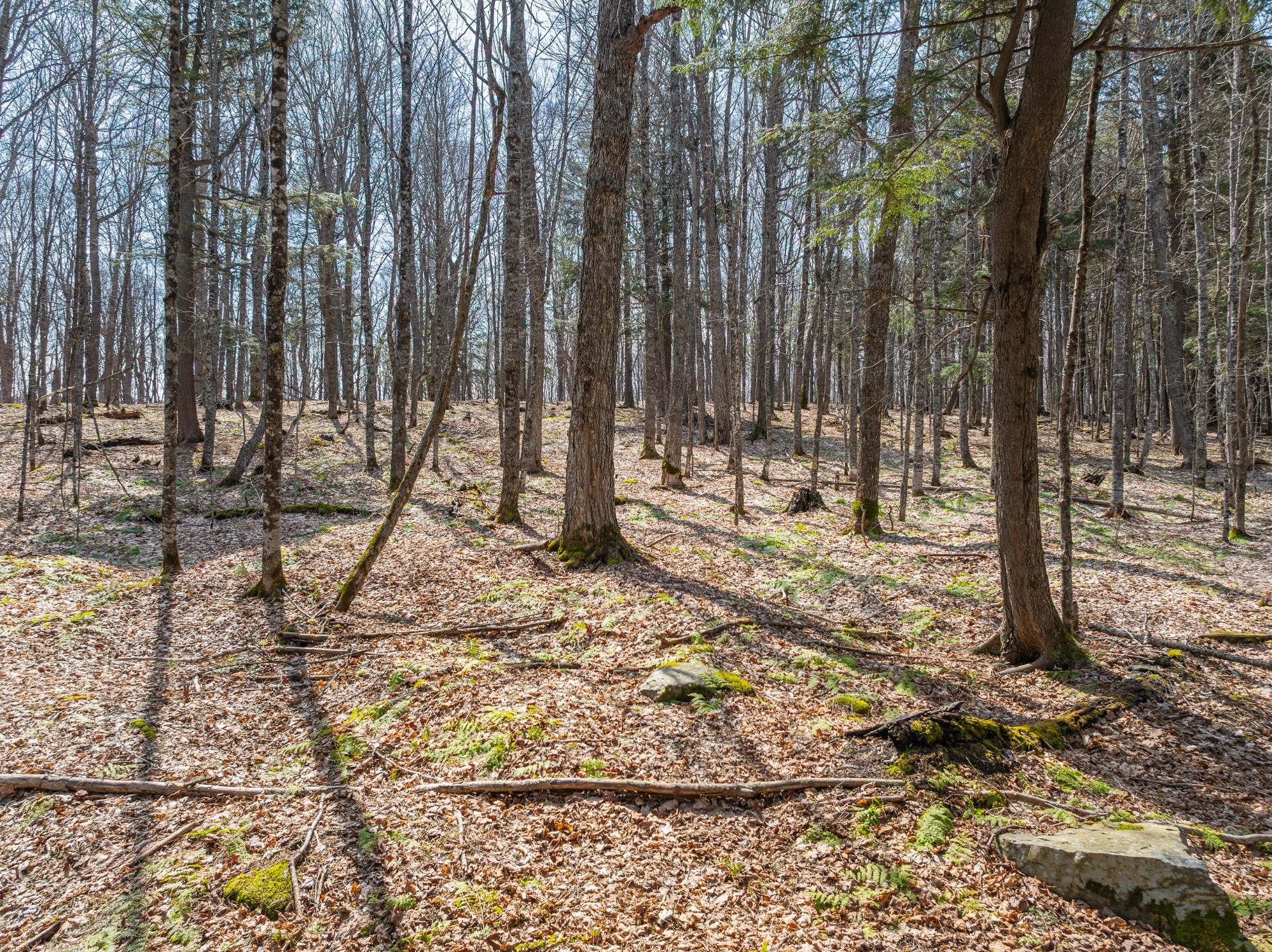 Undocumented Lake Property 0 Bear Tail Pt Photo 2