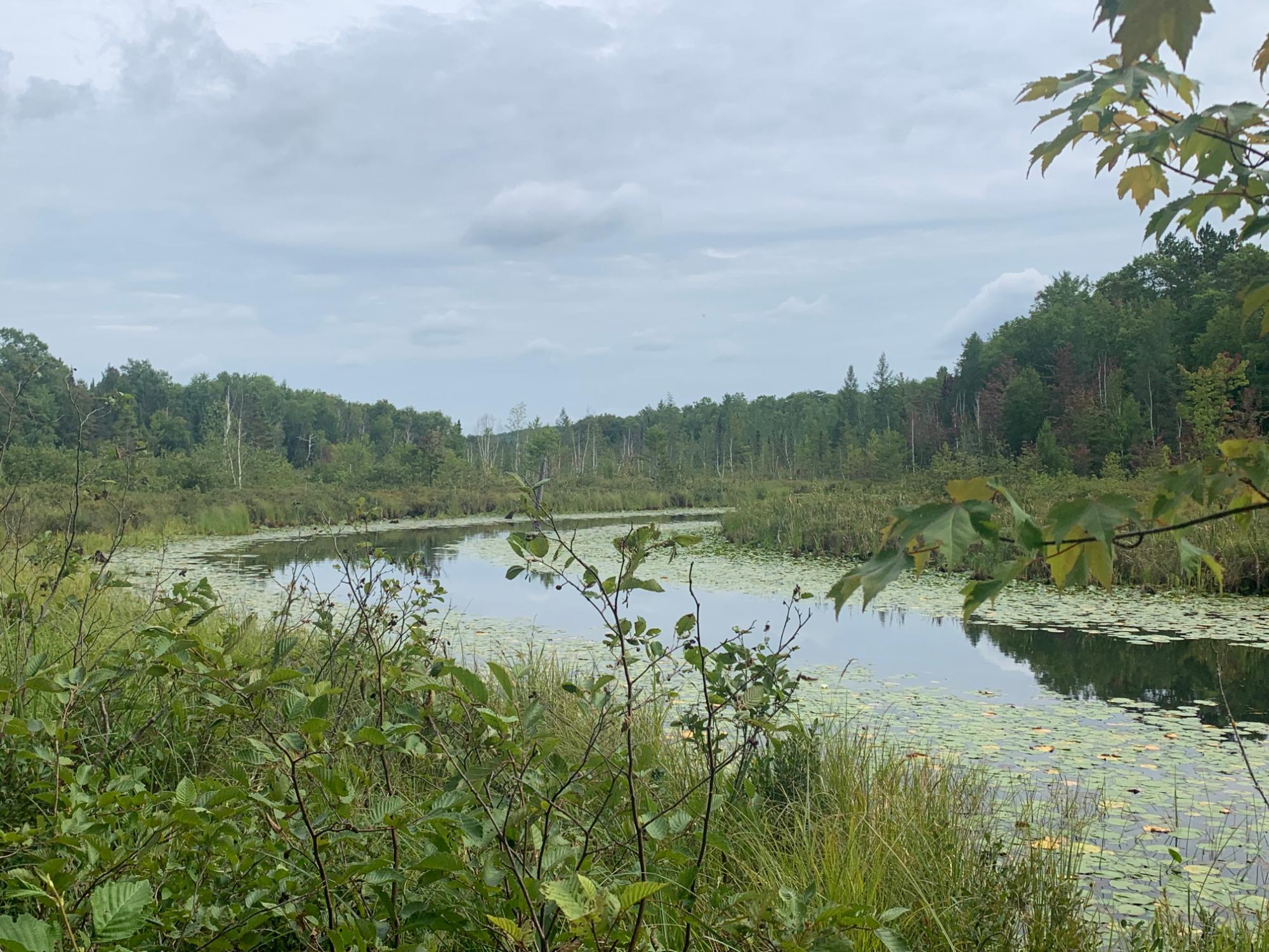 Undocumented Lake Property 0 Bear Tail Pt Photo 21
