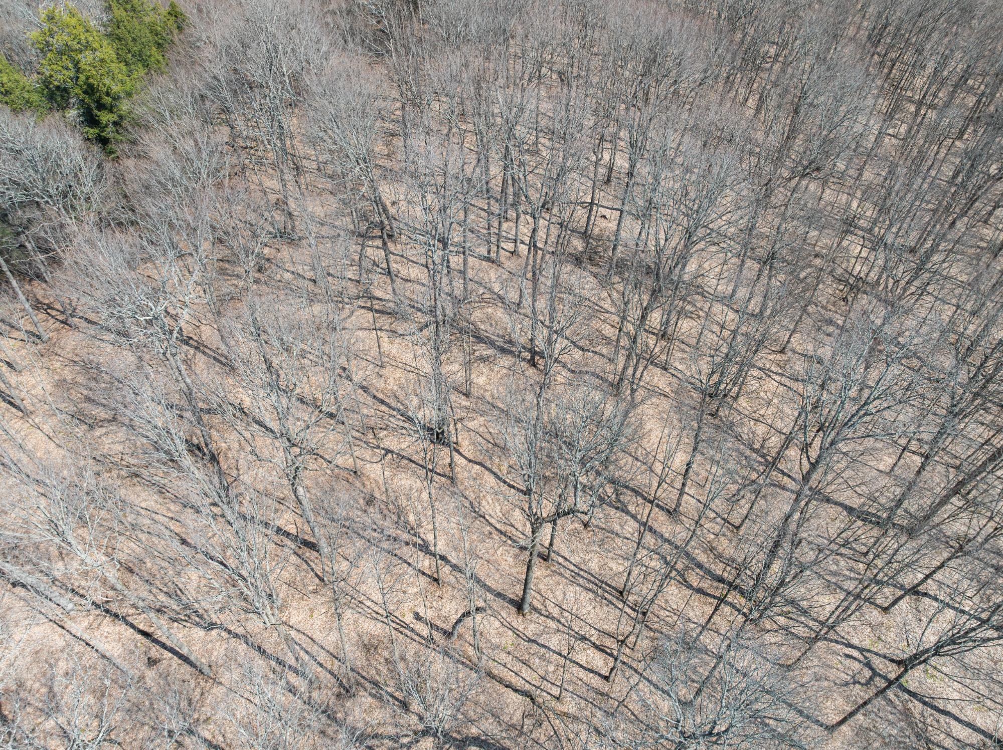 Undocumented Lake Property 0 Bear Tail Pt Photo 28