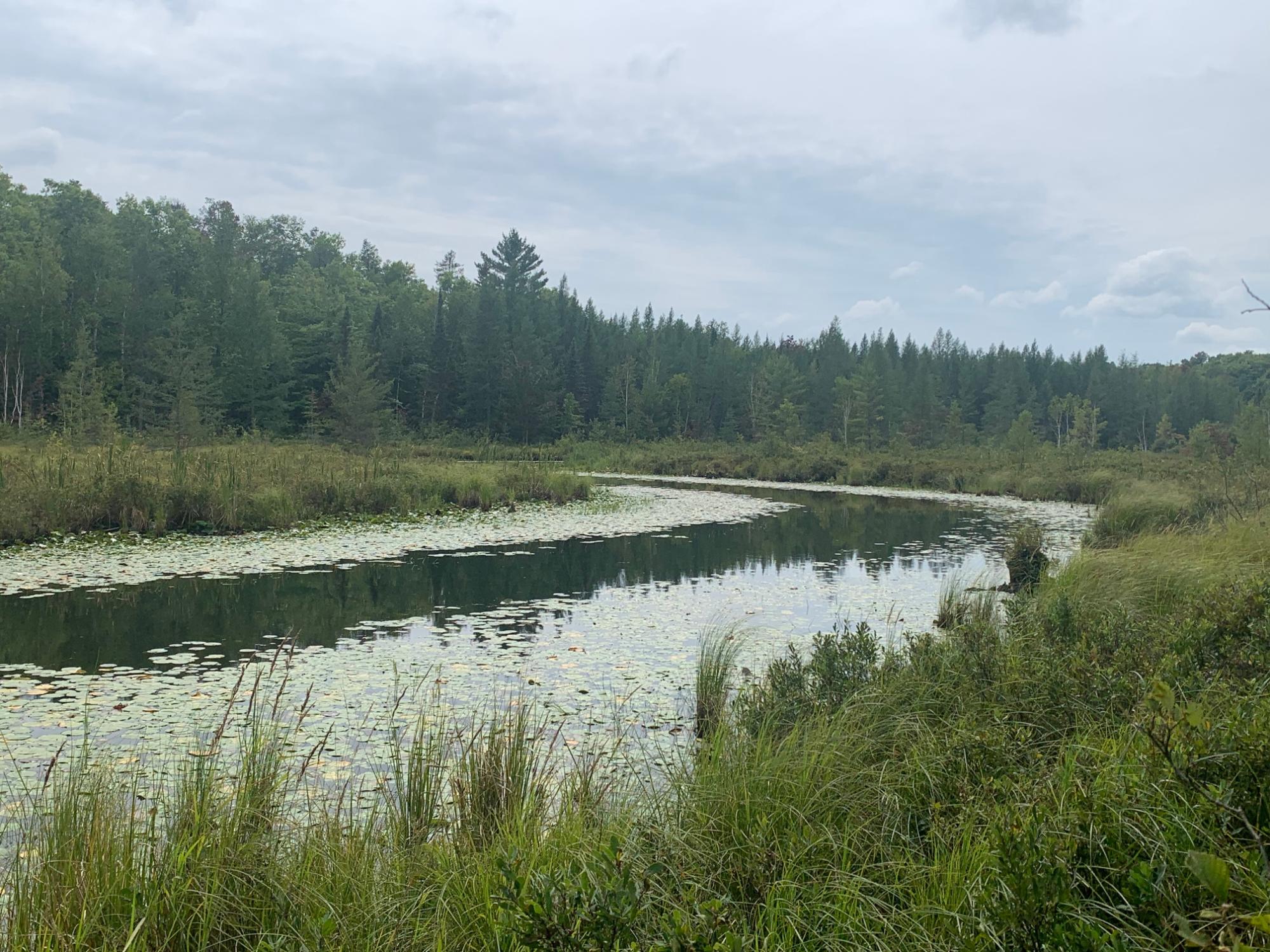 Undocumented Lake Property 0 Bear Tail Pt Photo 4