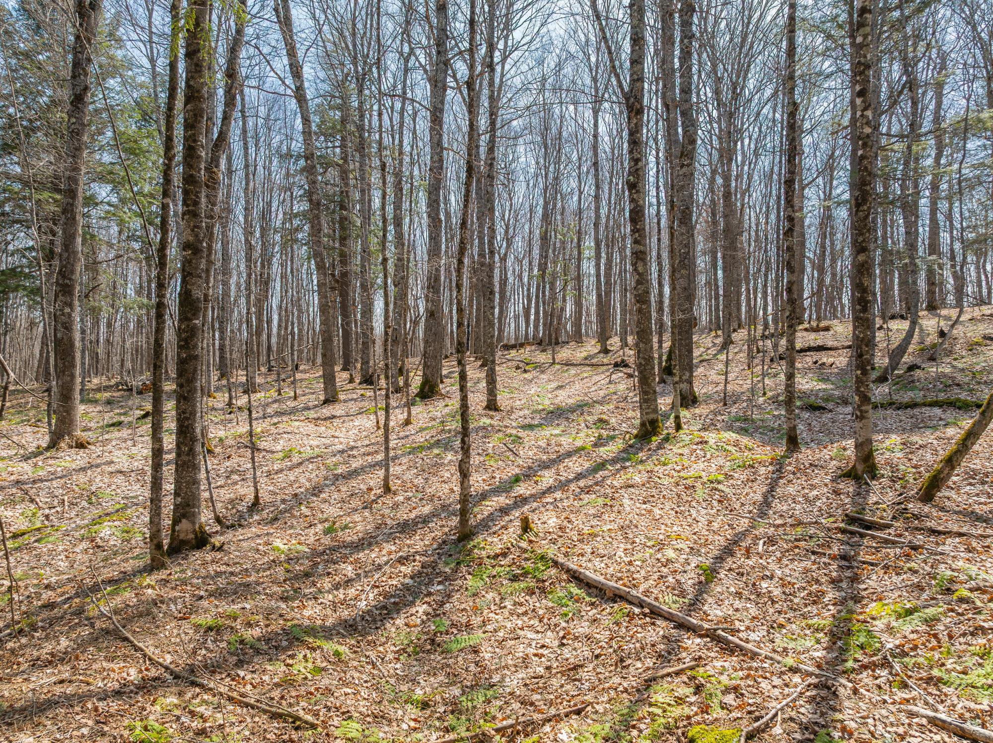 Undocumented Lake Property 0 Bear Tail Pt Photo 5