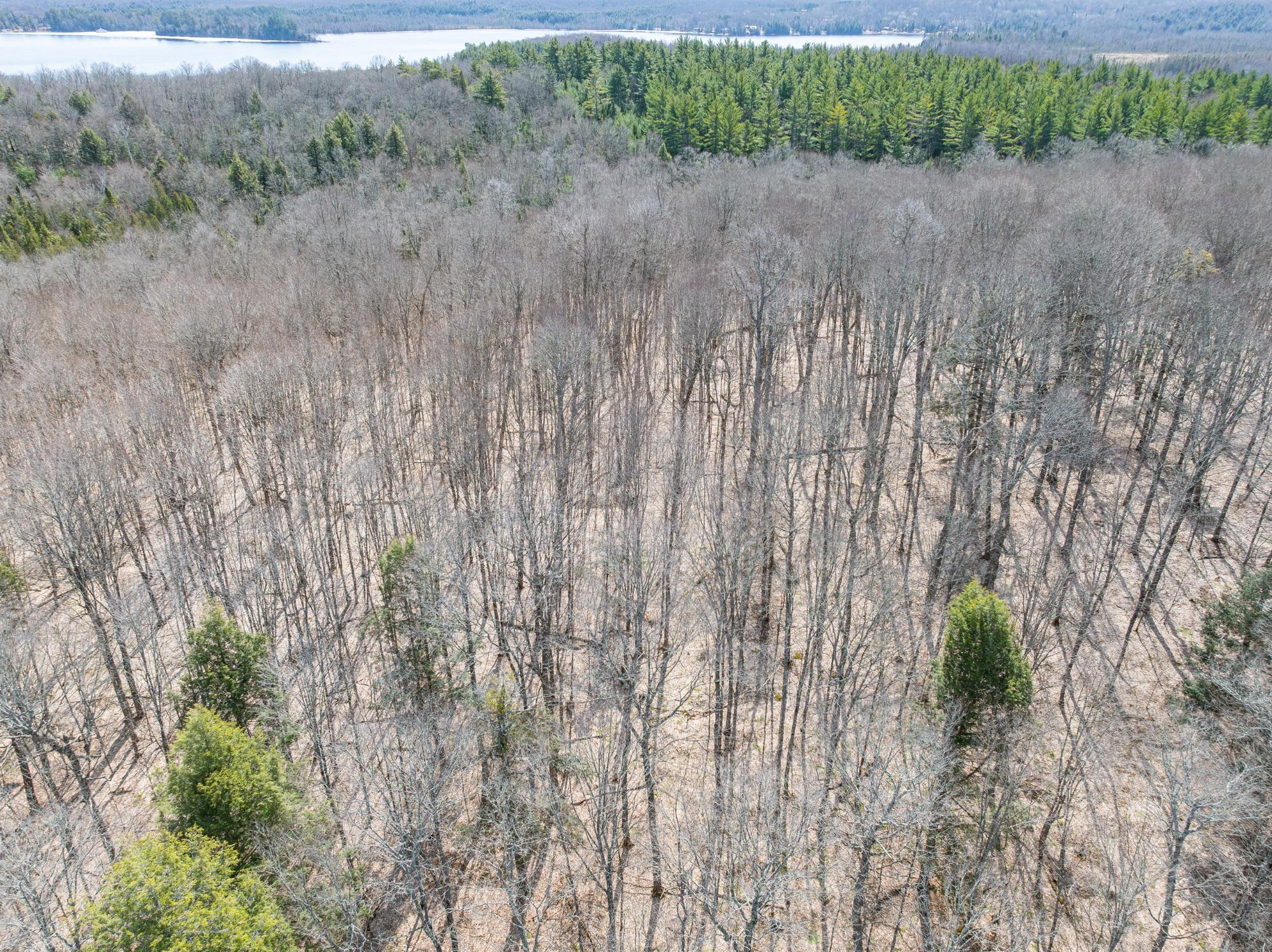 Undocumented Lake Property 0 Bear Tail Pt Photo 7