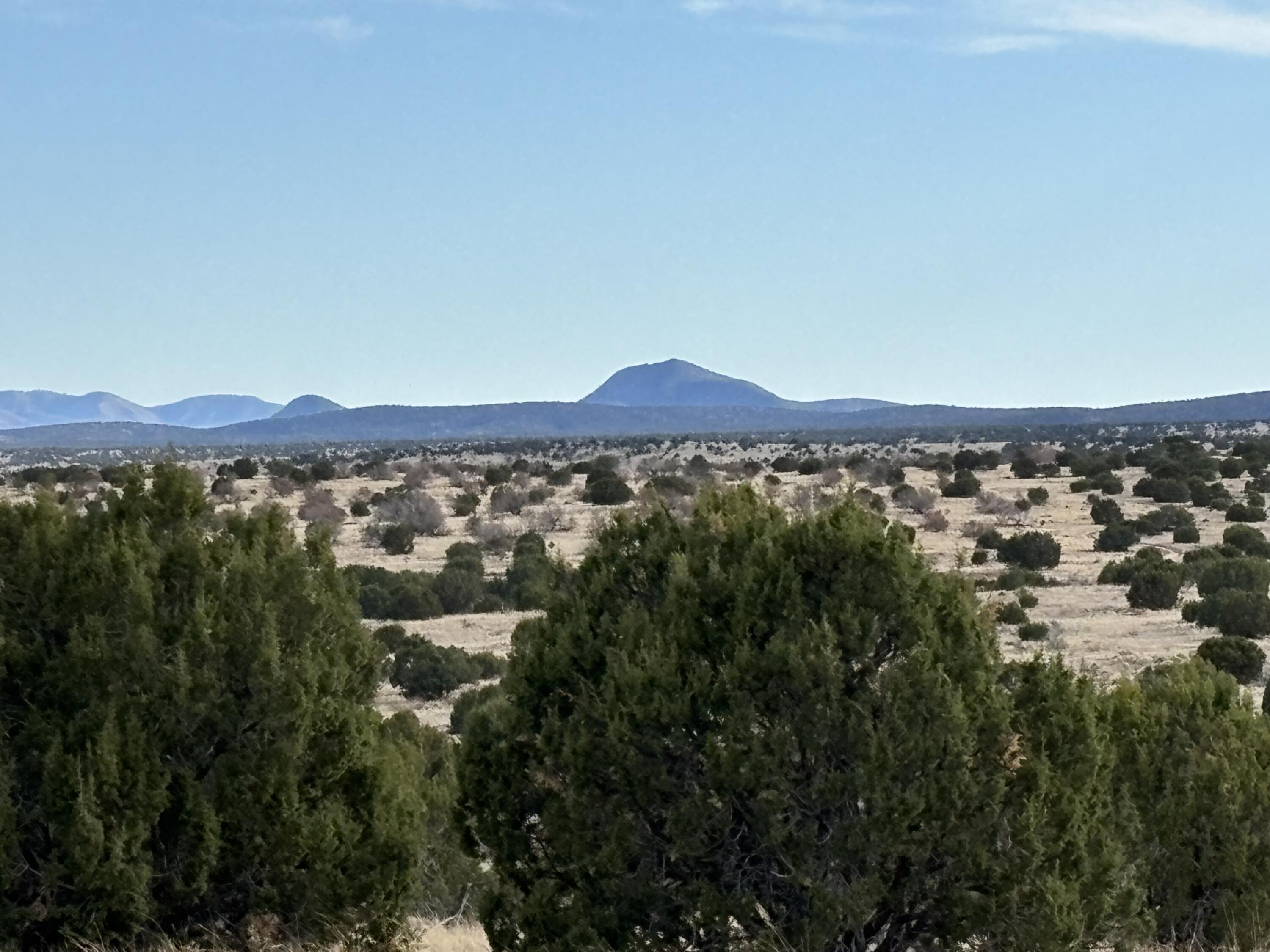 Homes for sale in Magdalena, NM | Lot 24 Pinon Springs Road, Magdalena, NM 87825 | MLS# 1083057