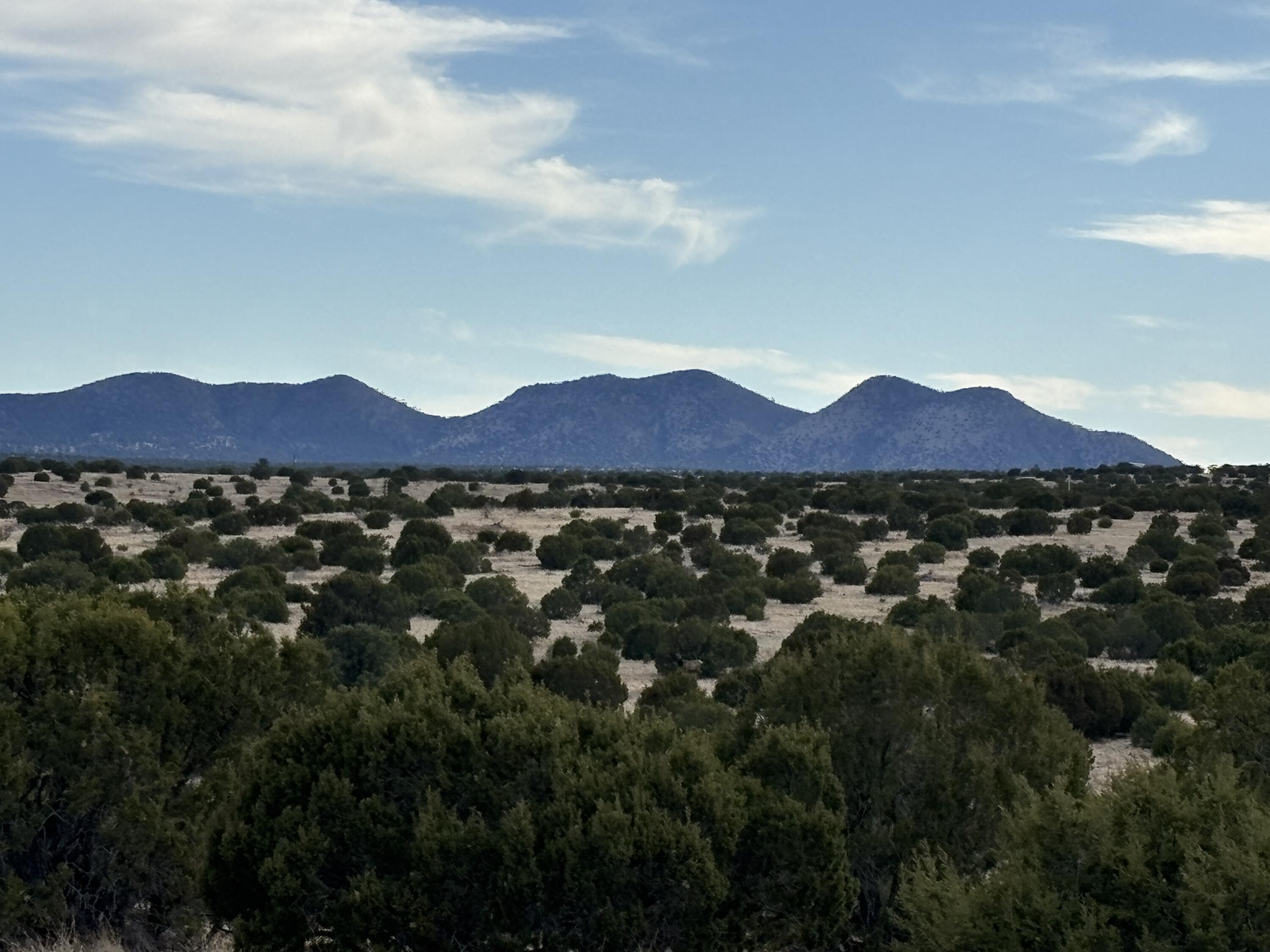 Homes for sale in Magdalena, NM | Lot 24 Pinon Springs Road, Magdalena, NM 87825 | MLS# 1083057