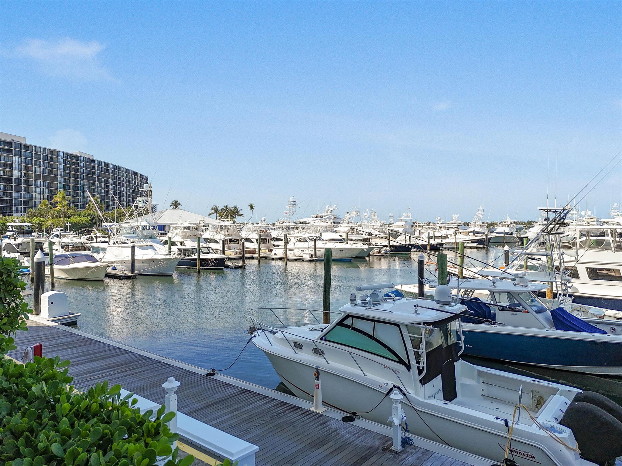 Old Port Cove Condo Five