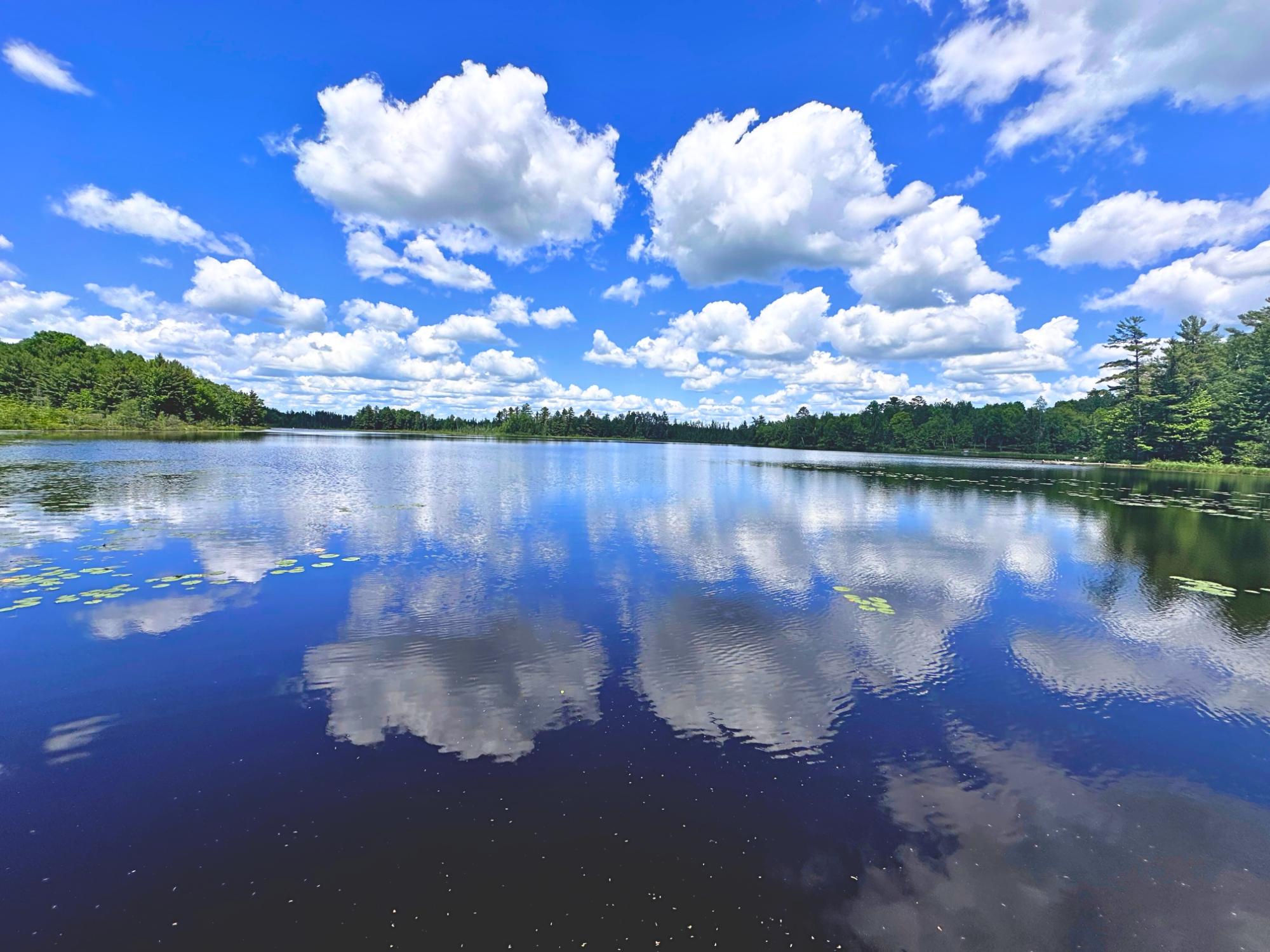 Undocumented Lake Property N13038 Hicks Landing Rd Photo 12