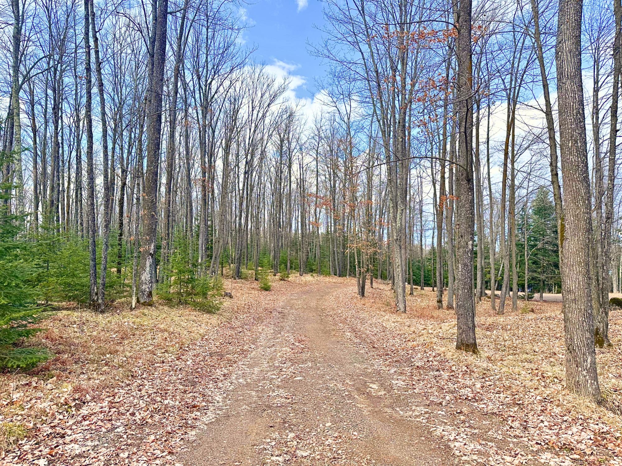 Sweeney Lake Property N13038 Hicks Landing Rd Photo 75