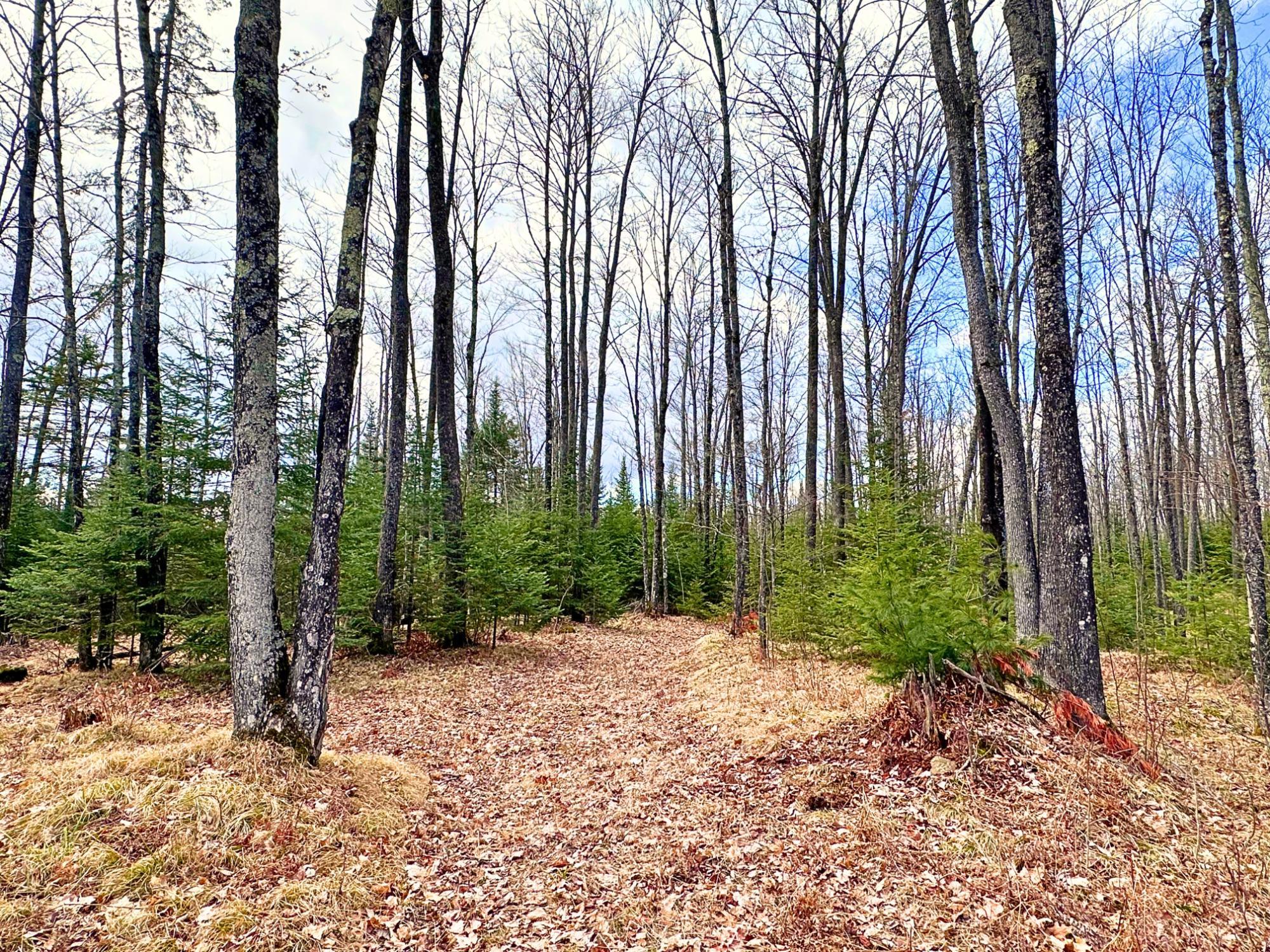 Undocumented Lake Property N13038 Hicks Landing Rd Photo 76