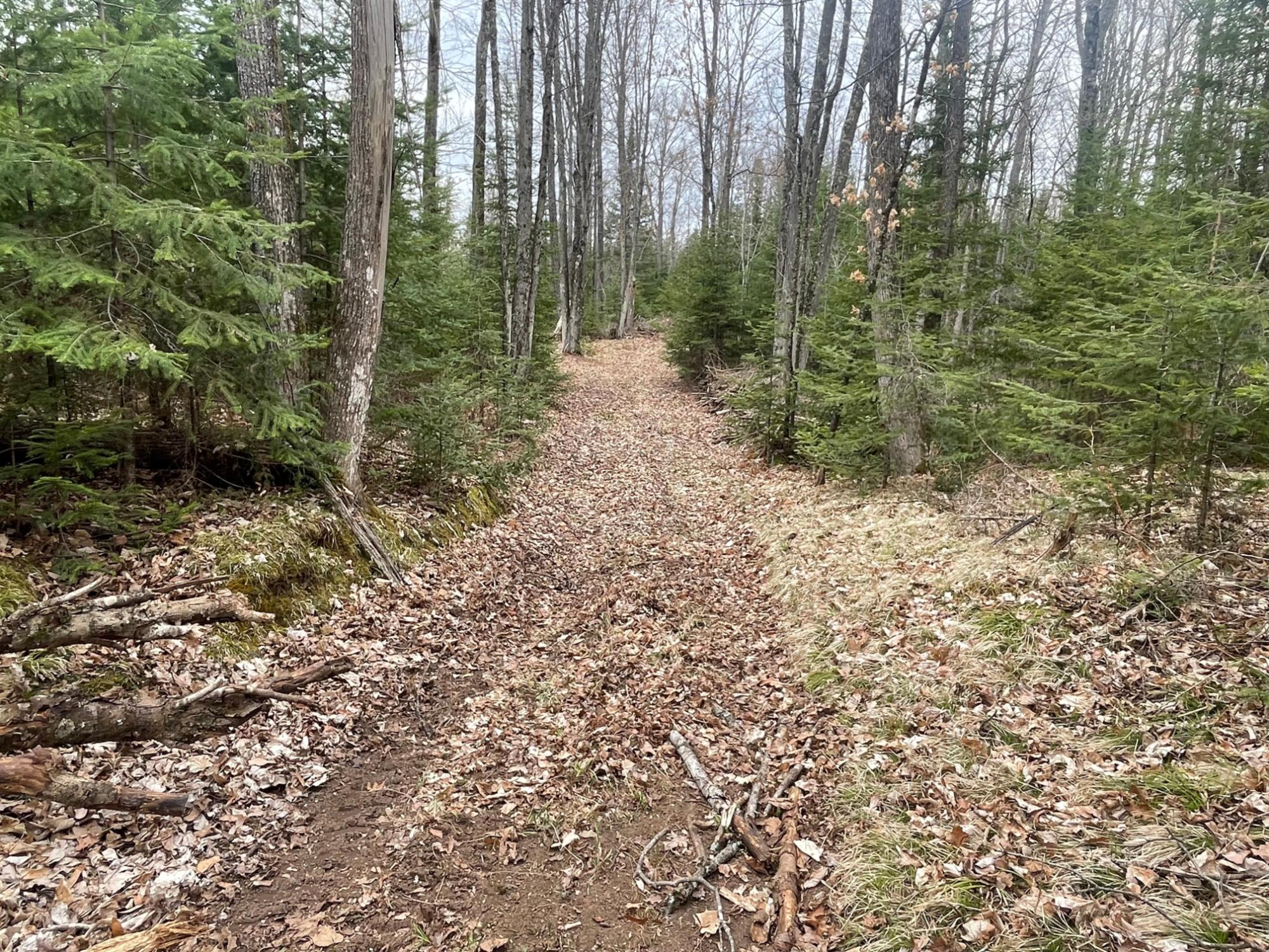 Sweeney Lake Property N13038 Hicks Landing Rd Photo 78