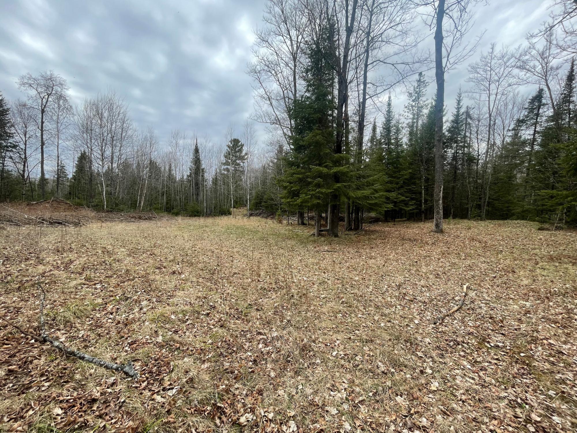 Sweeney Lake Property N13038 Hicks Landing Rd Photo 79