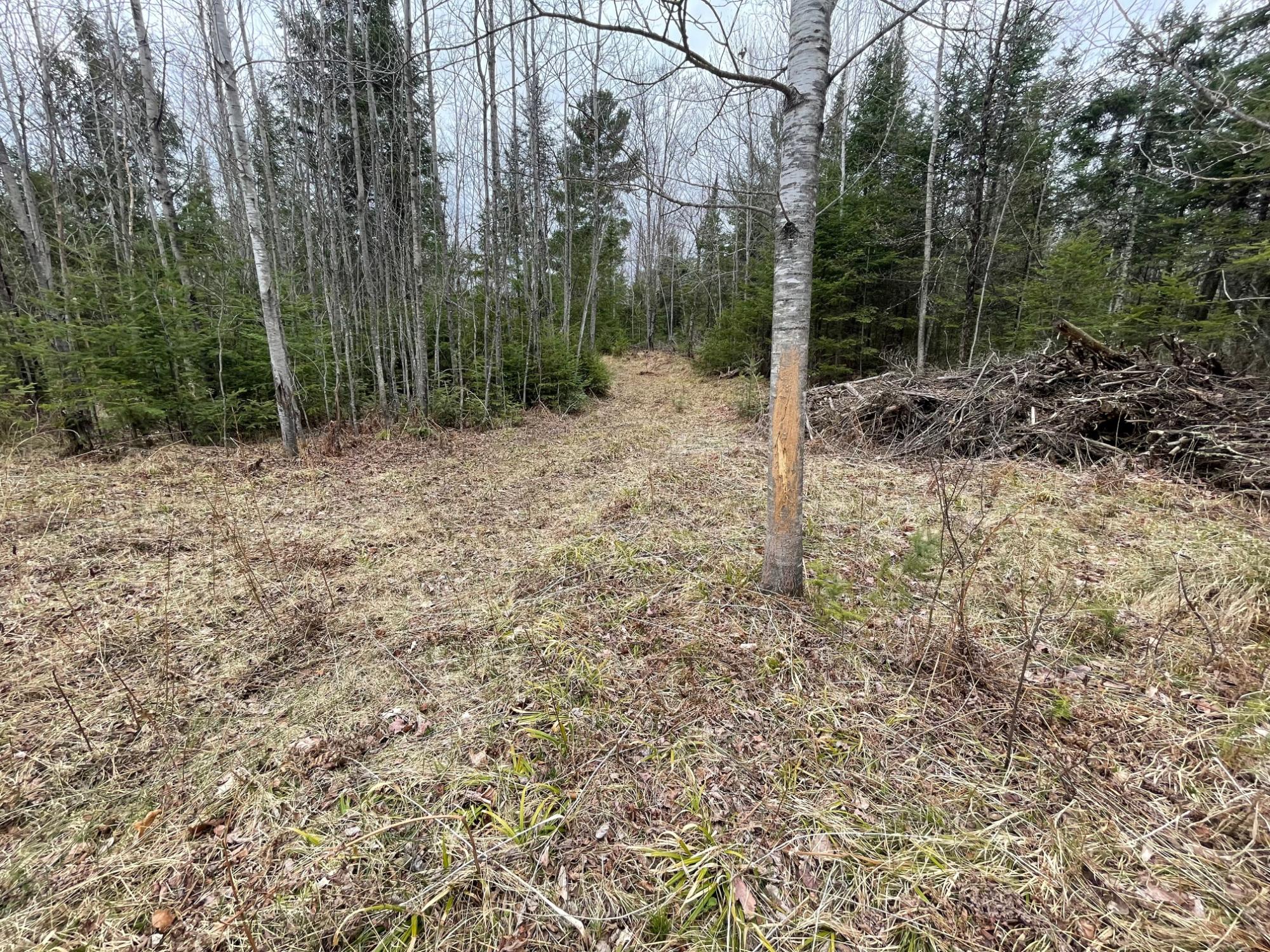 Sweeney Lake Property N13038 Hicks Landing Rd Photo 83
