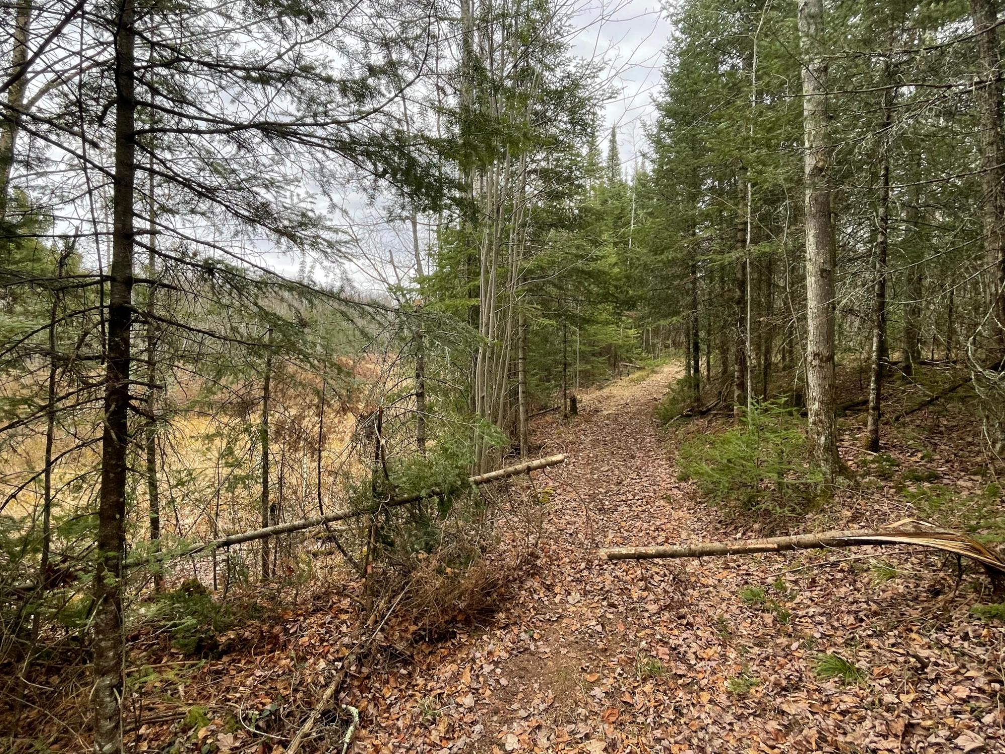 Undocumented Lake Property N13038 Hicks Landing Rd Photo 85