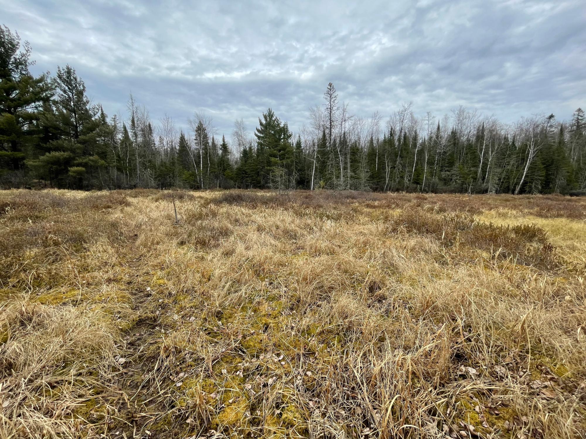 Undocumented Lake Property N13038 Hicks Landing Rd Photo 86