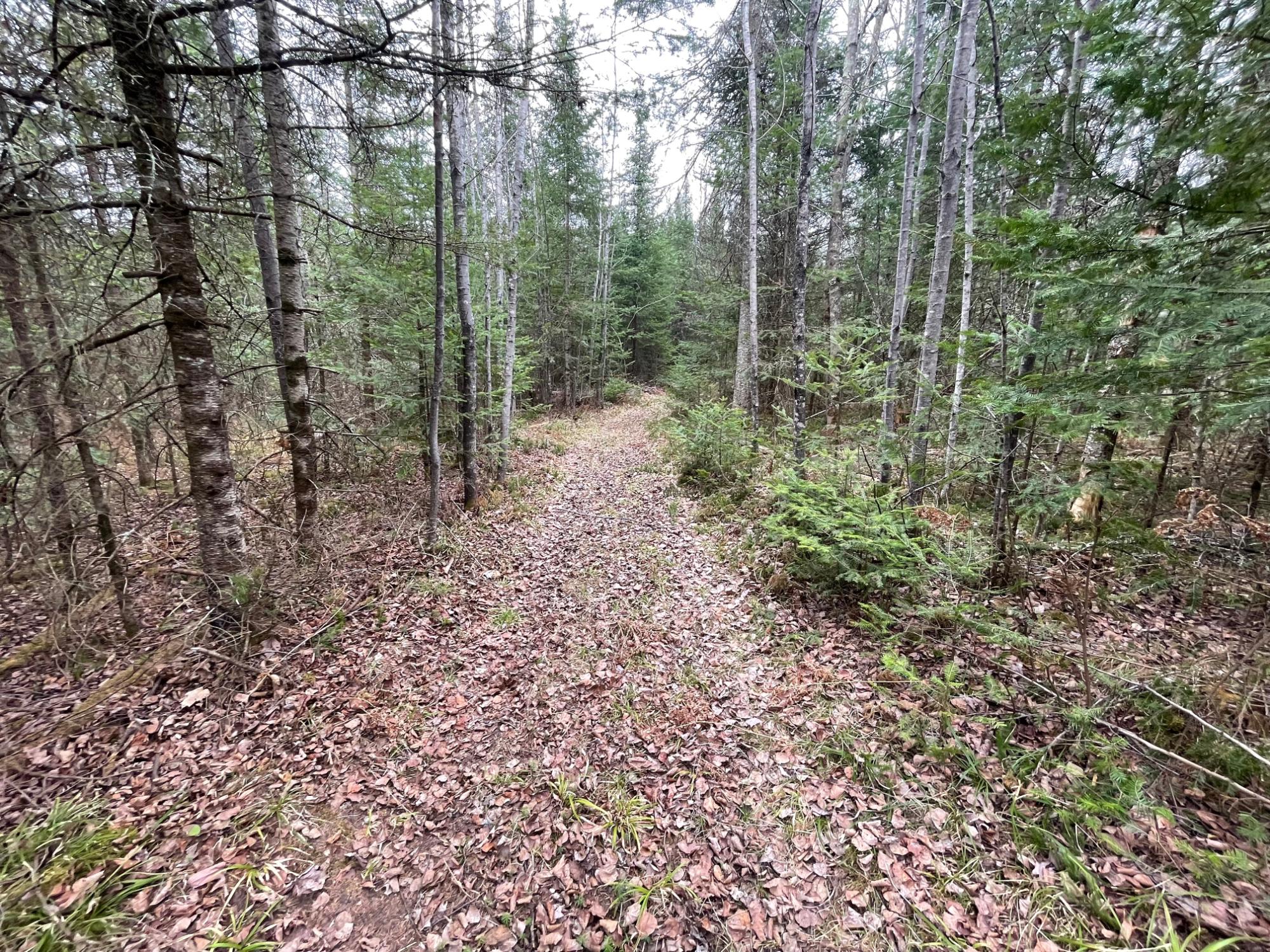 Sweeney Lake Property N13038 Hicks Landing Rd Photo 87