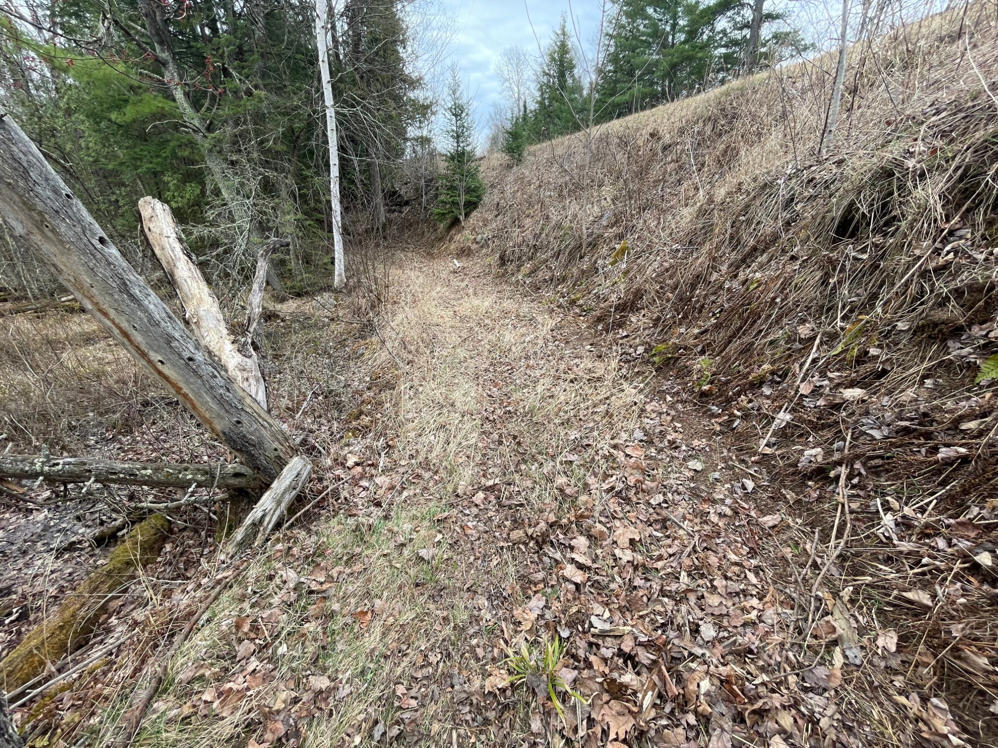 Sweeney Lake Property N13038 Hicks Landing Rd Photo 88