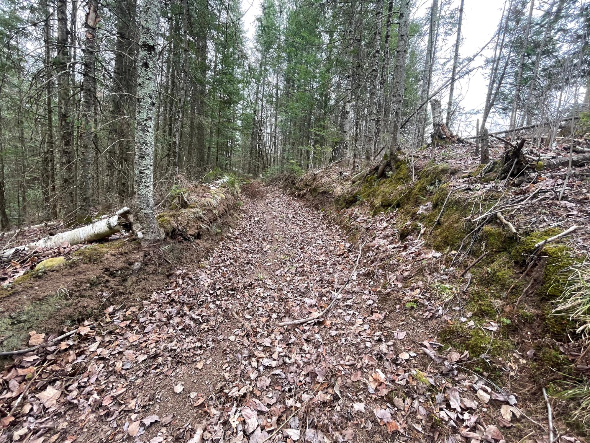 Undocumented Lake Property N13038 Hicks Landing Rd Photo 89