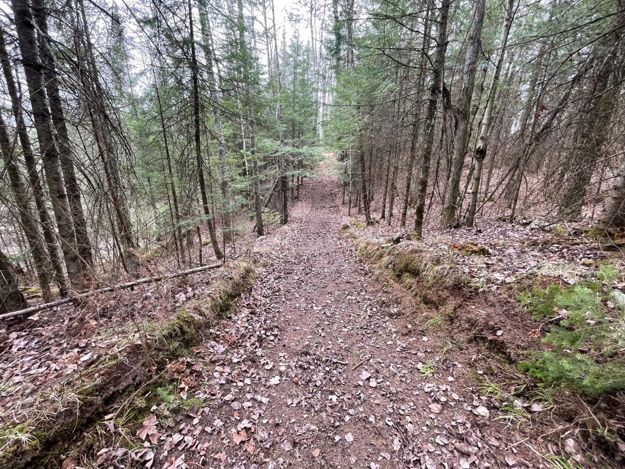 Undocumented Lake Property N13038 Hicks Landing Rd Photo 90