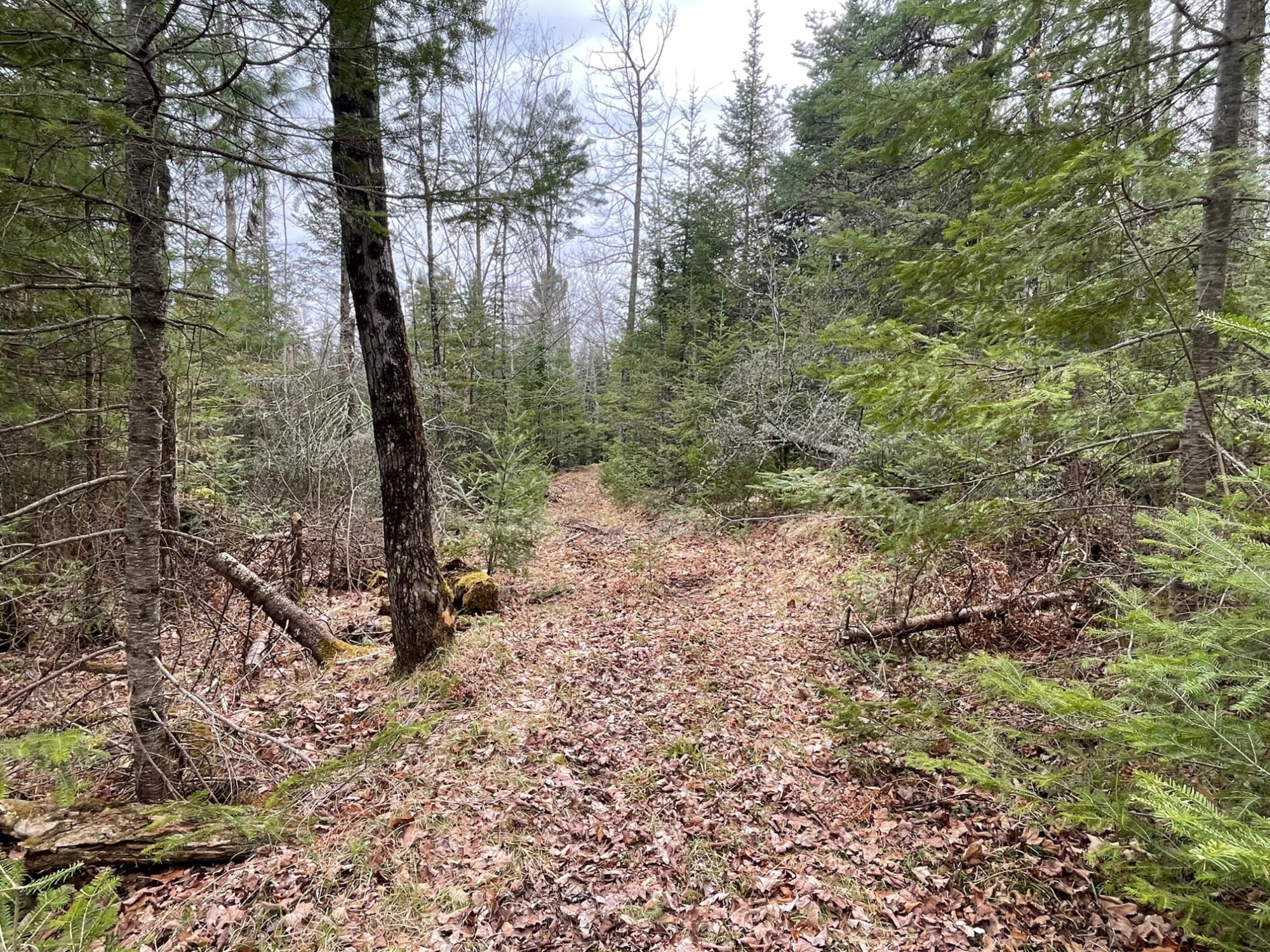 Undocumented Lake Property N13038 Hicks Landing Rd Photo 91