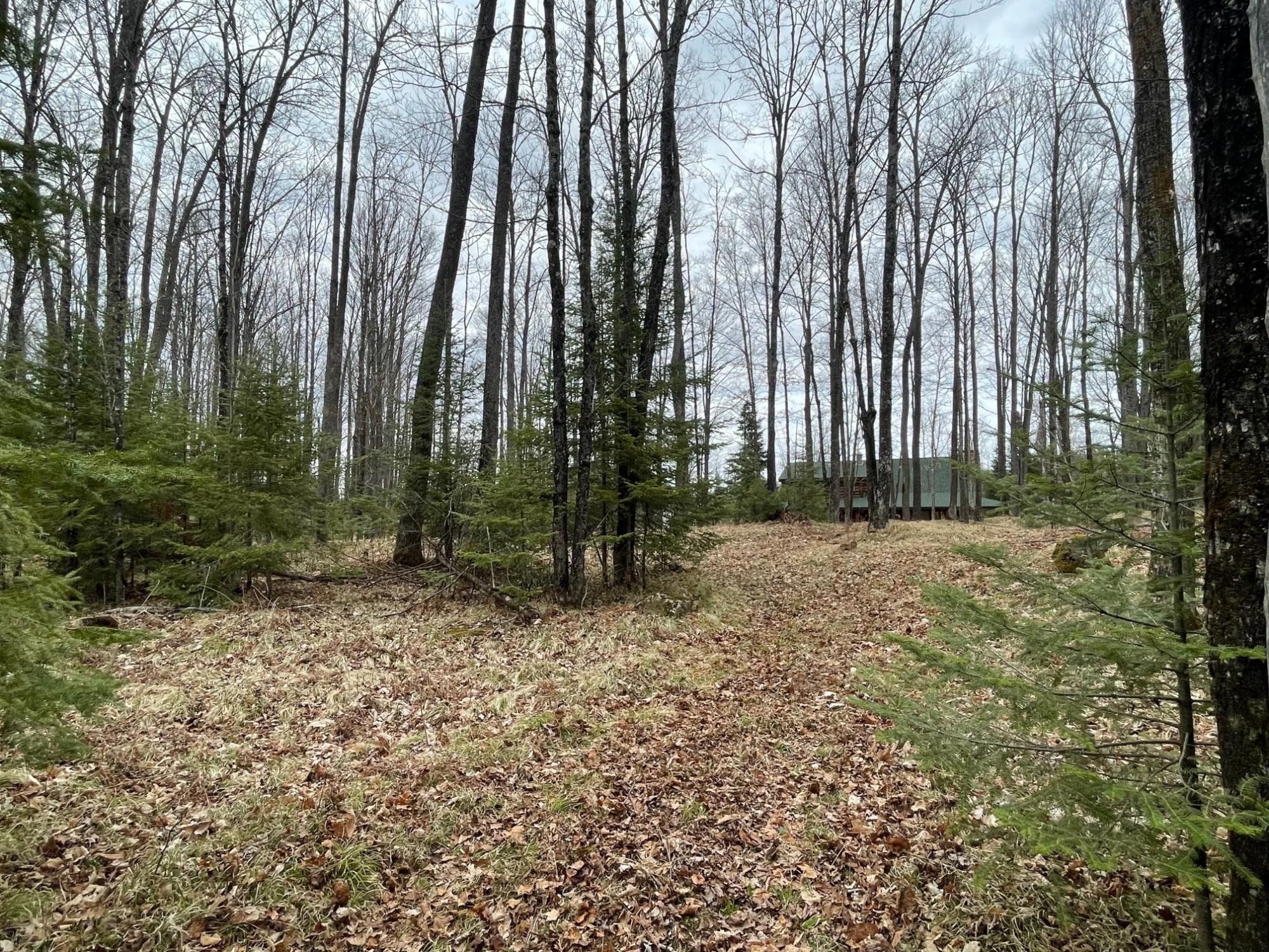 Undocumented Lake Property N13038 Hicks Landing Rd Photo 92