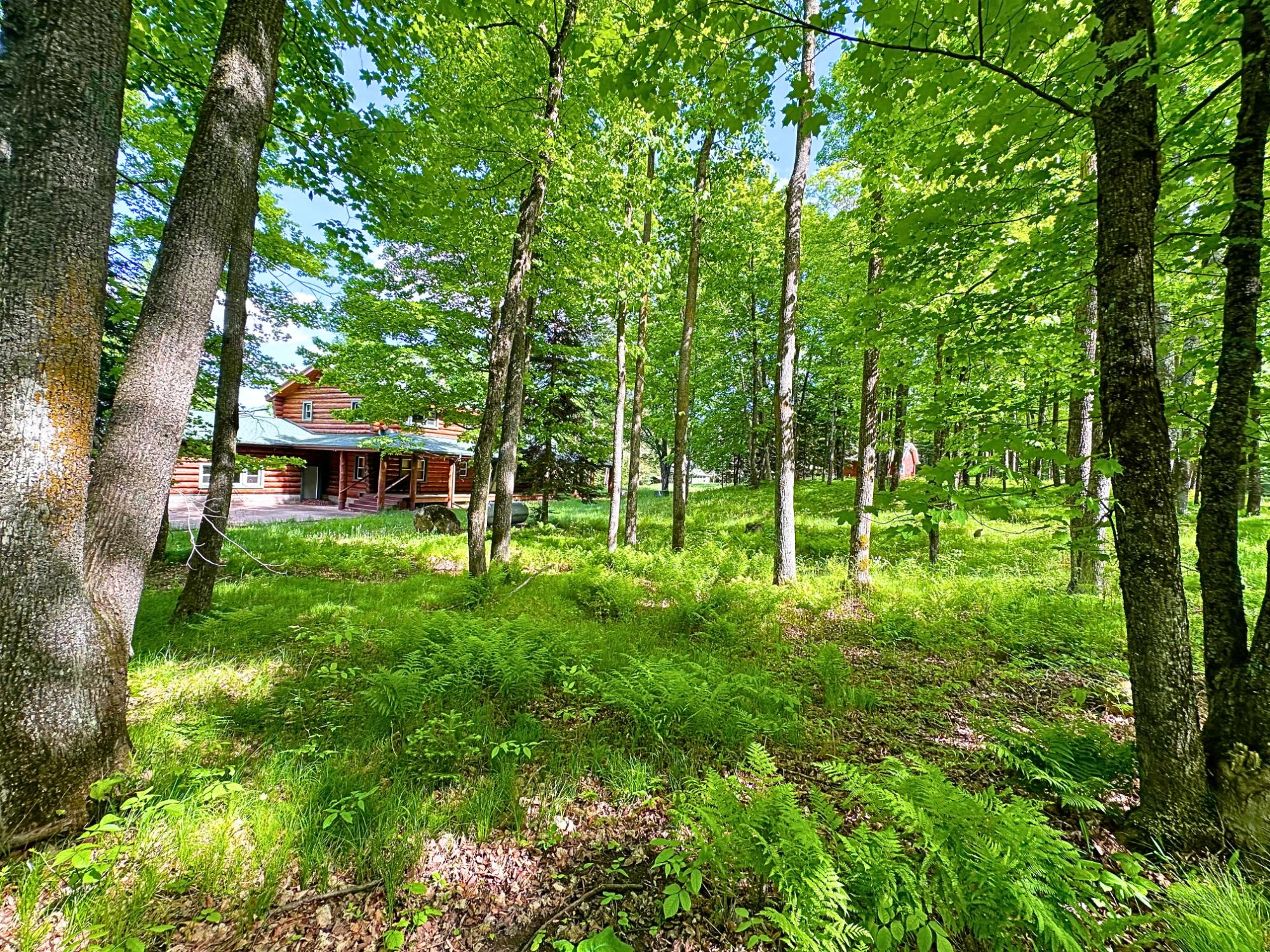 Undocumented Lake Property N13038 Hicks Landing Rd Photo 98