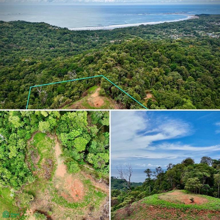0 bed Land For Sale in Osa, Puntarenas - 1