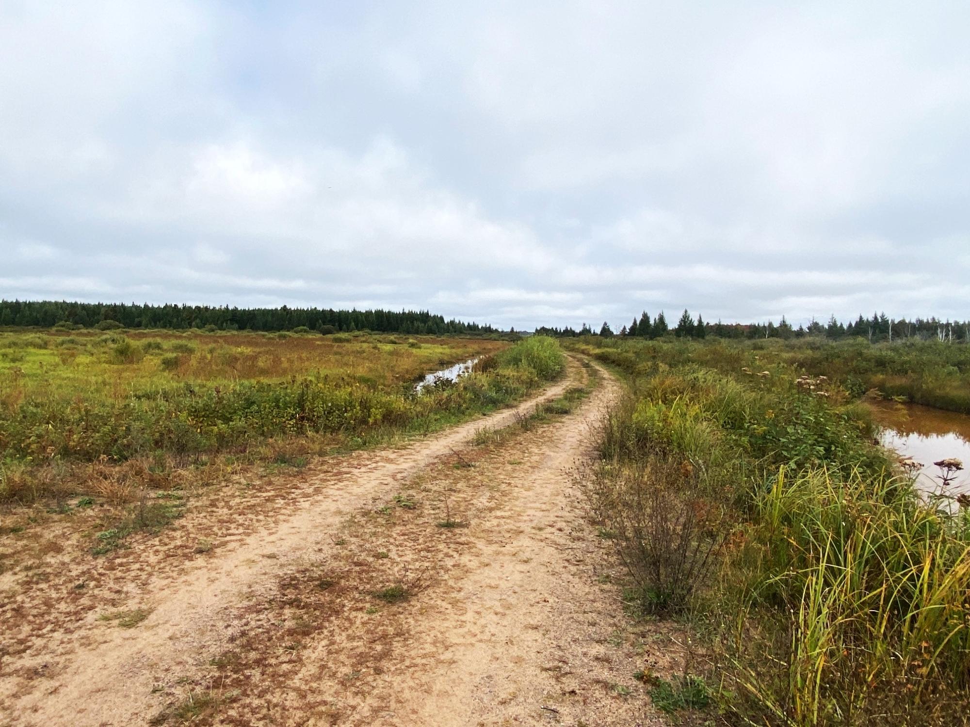 South Bass Lake Property 700 Ac Hwy 51 Photo 11