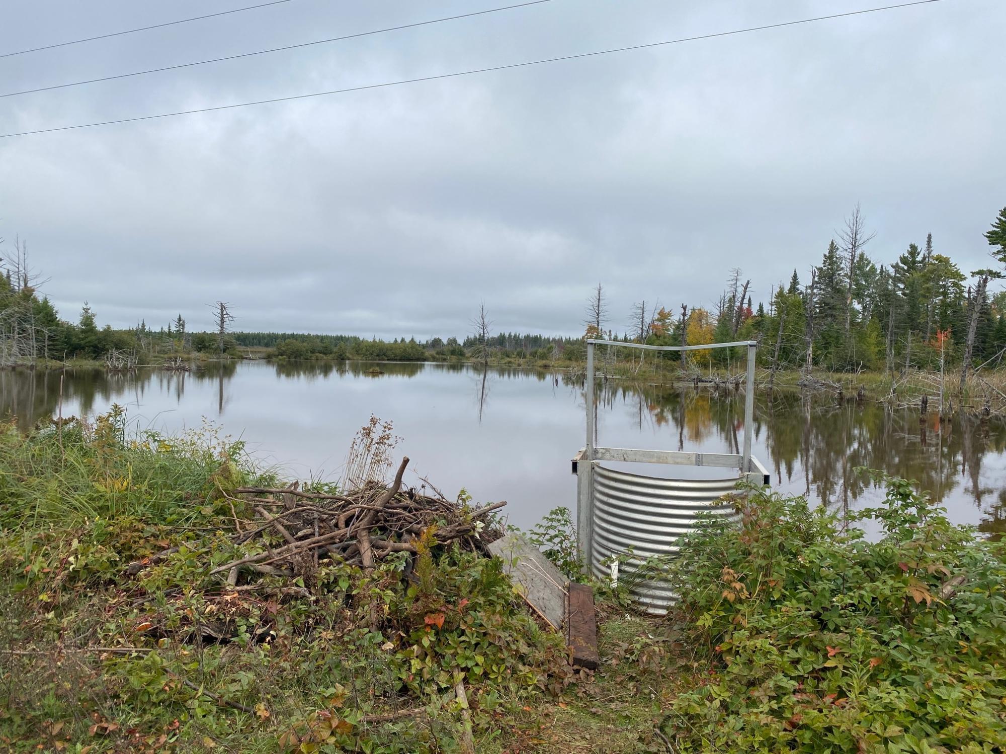 South Bass Lake Property 700 Ac Hwy 51 Photo 12