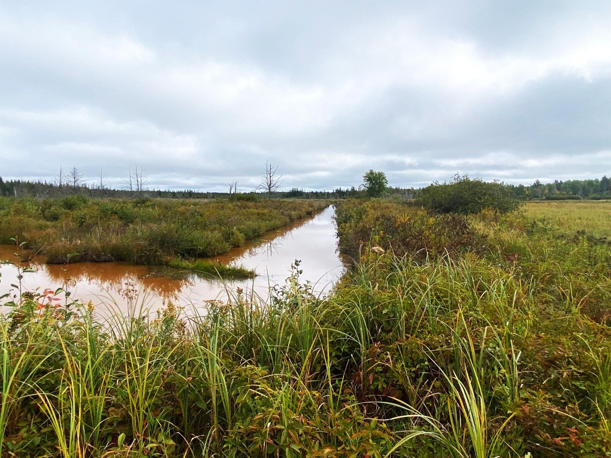 Undocumented Lake Property 700 Ac Hwy 51 Photo 13