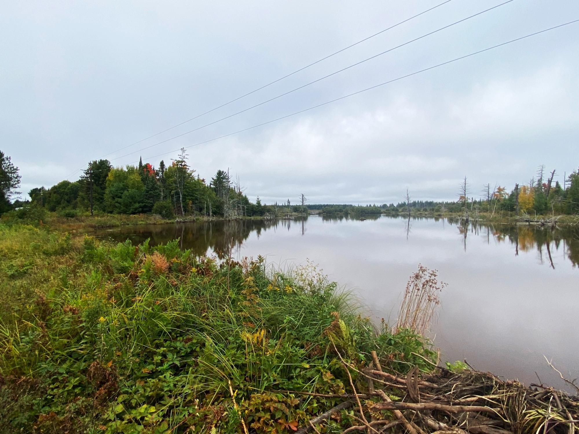 South Bass Lake Property 700 Ac Hwy 51 Photo 14