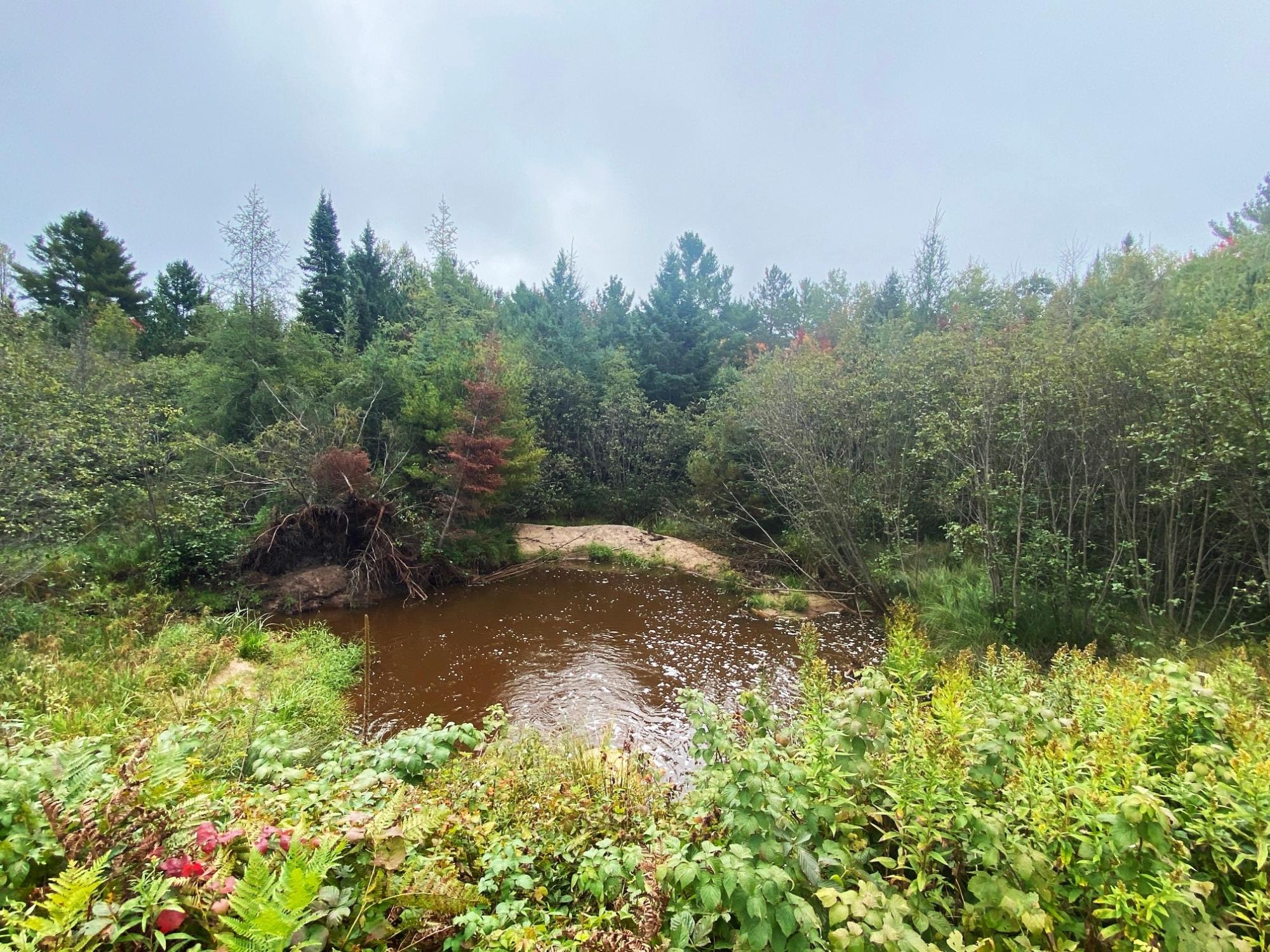 Undocumented Lake Property 700 Ac Hwy 51 Photo 15