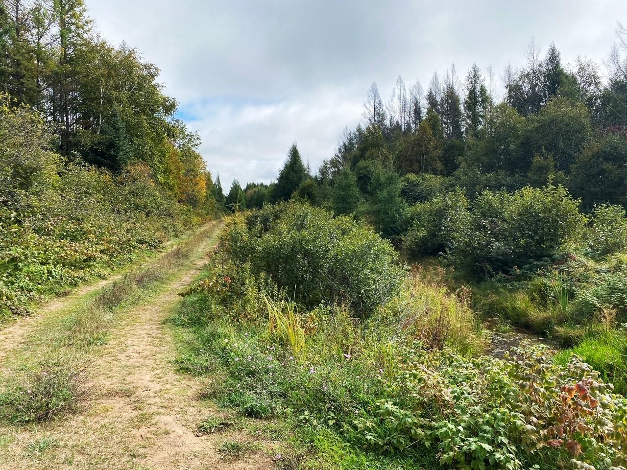 South Bass Lake Property 700 Ac Hwy 51 Photo 16