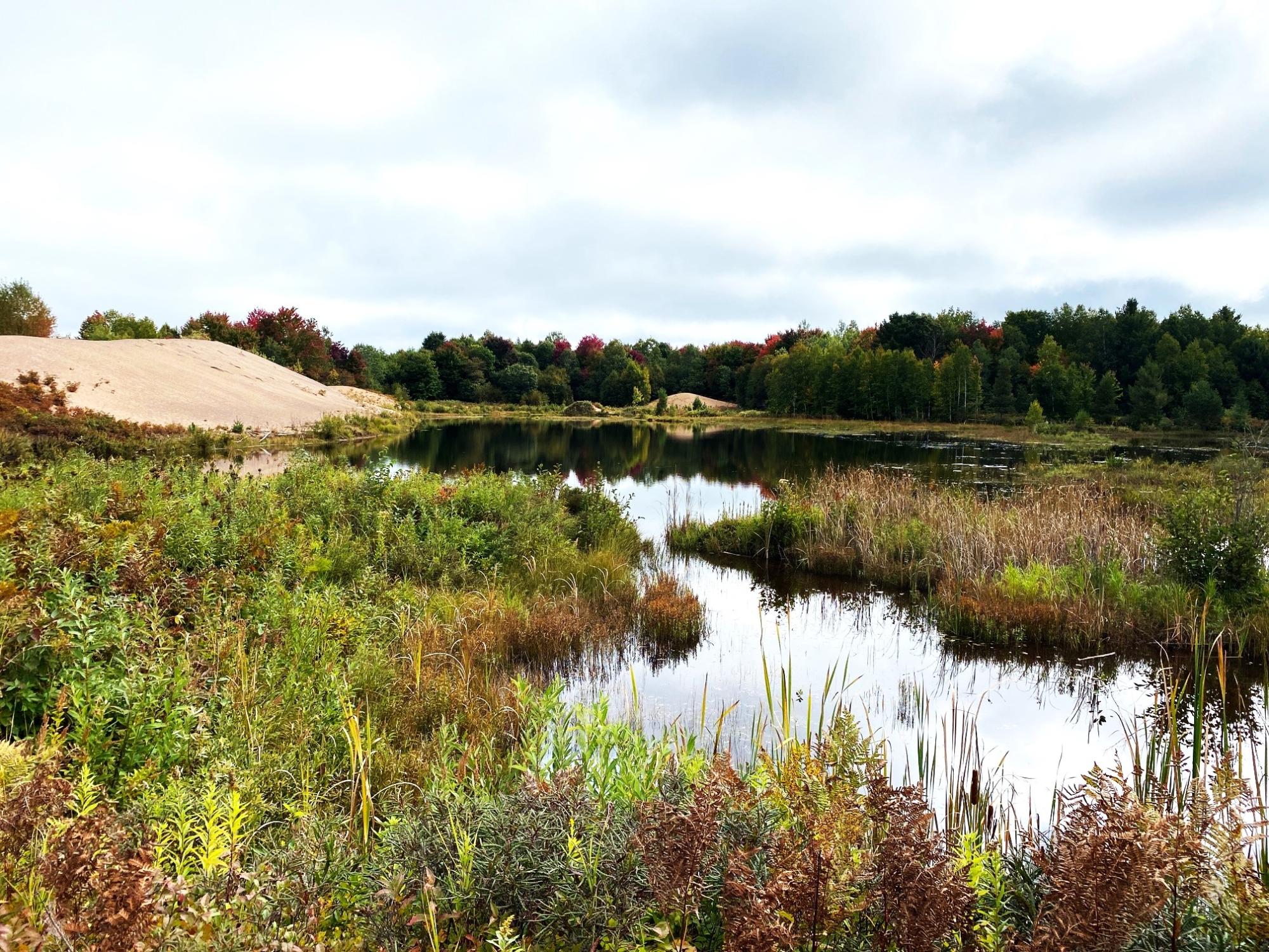 South Bass Lake Property 700 Ac Hwy 51 Photo 17