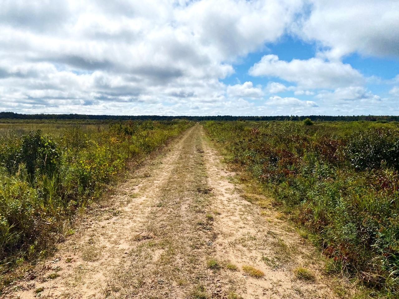 South Bass Lake Property 700 Ac Hwy 51 Photo 18