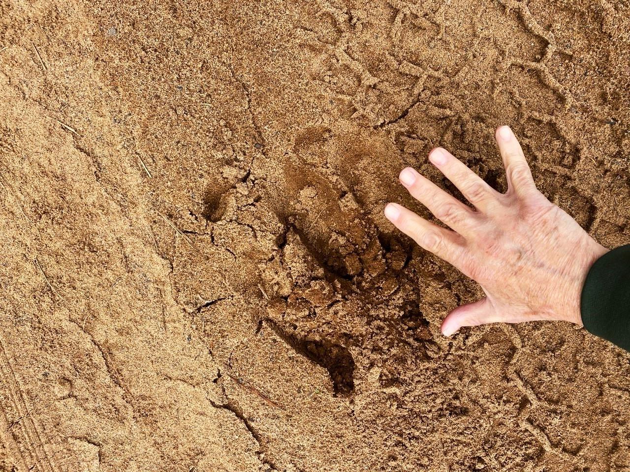 Undocumented Lake Property 700 Ac Hwy 51 Photo 19