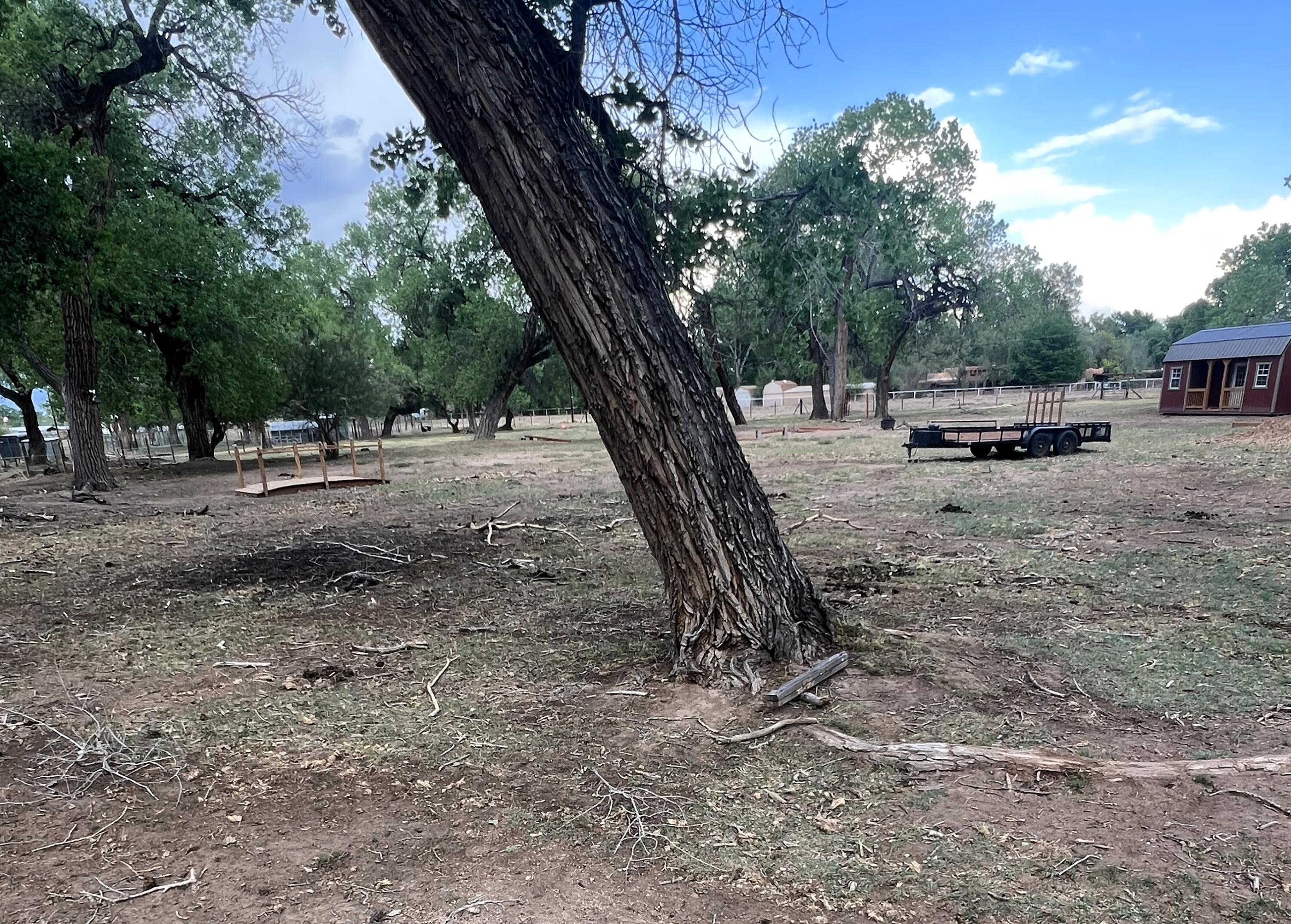 Homes for sale in Peralta, NM | 8 Wildwood Ln, Peralta, NM 87042 | MLS# 1083317