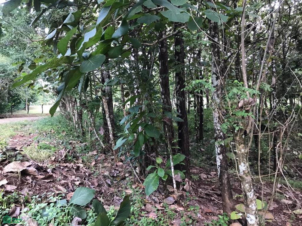 0 bed Land For Sale in Puntarenas, Puntarenas - 1