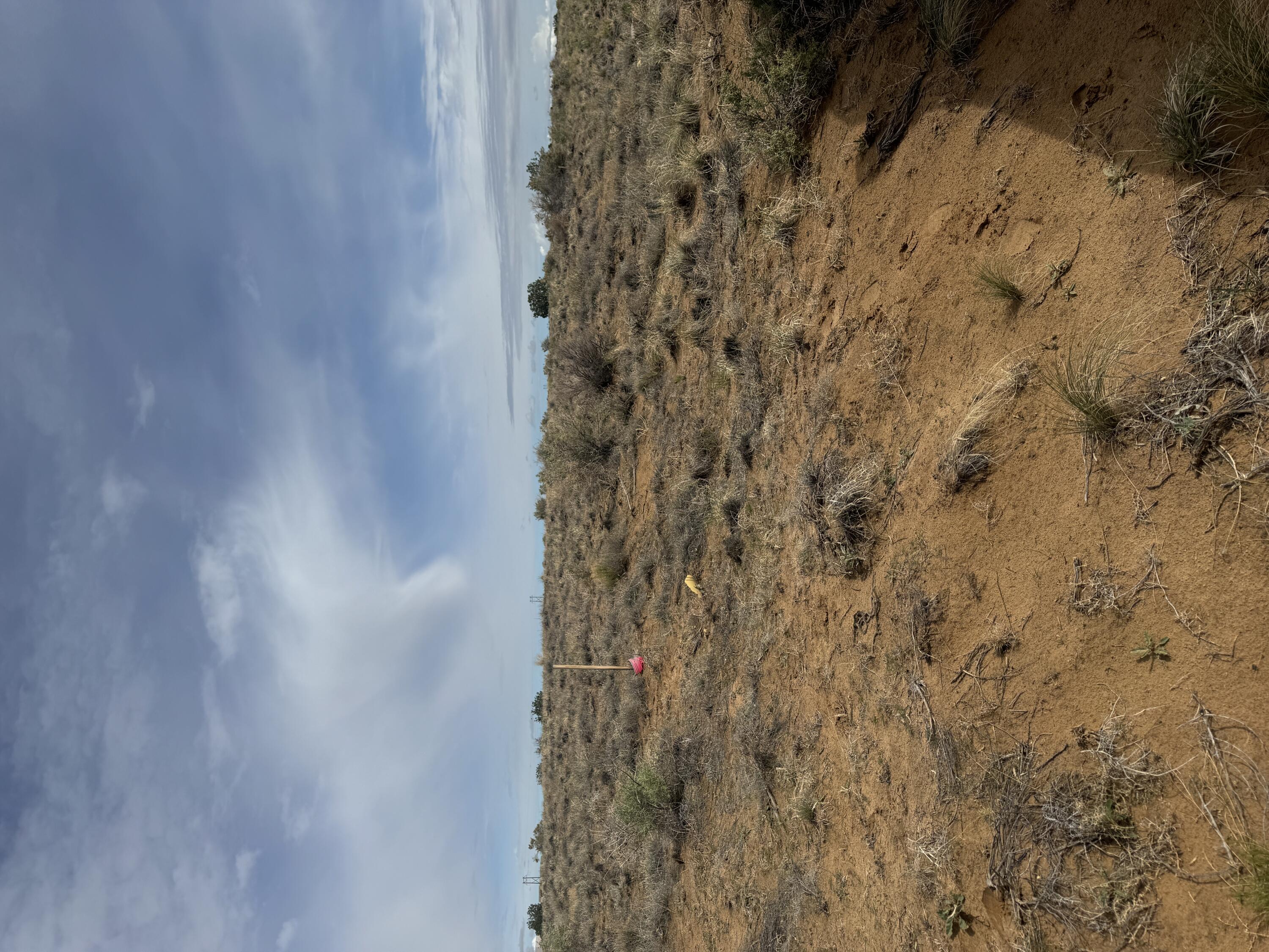 Homes for sale in Albuquerque, NM | 8213 Margarita Dr, Albuquerque, NM 87120 | MLS# 1083370