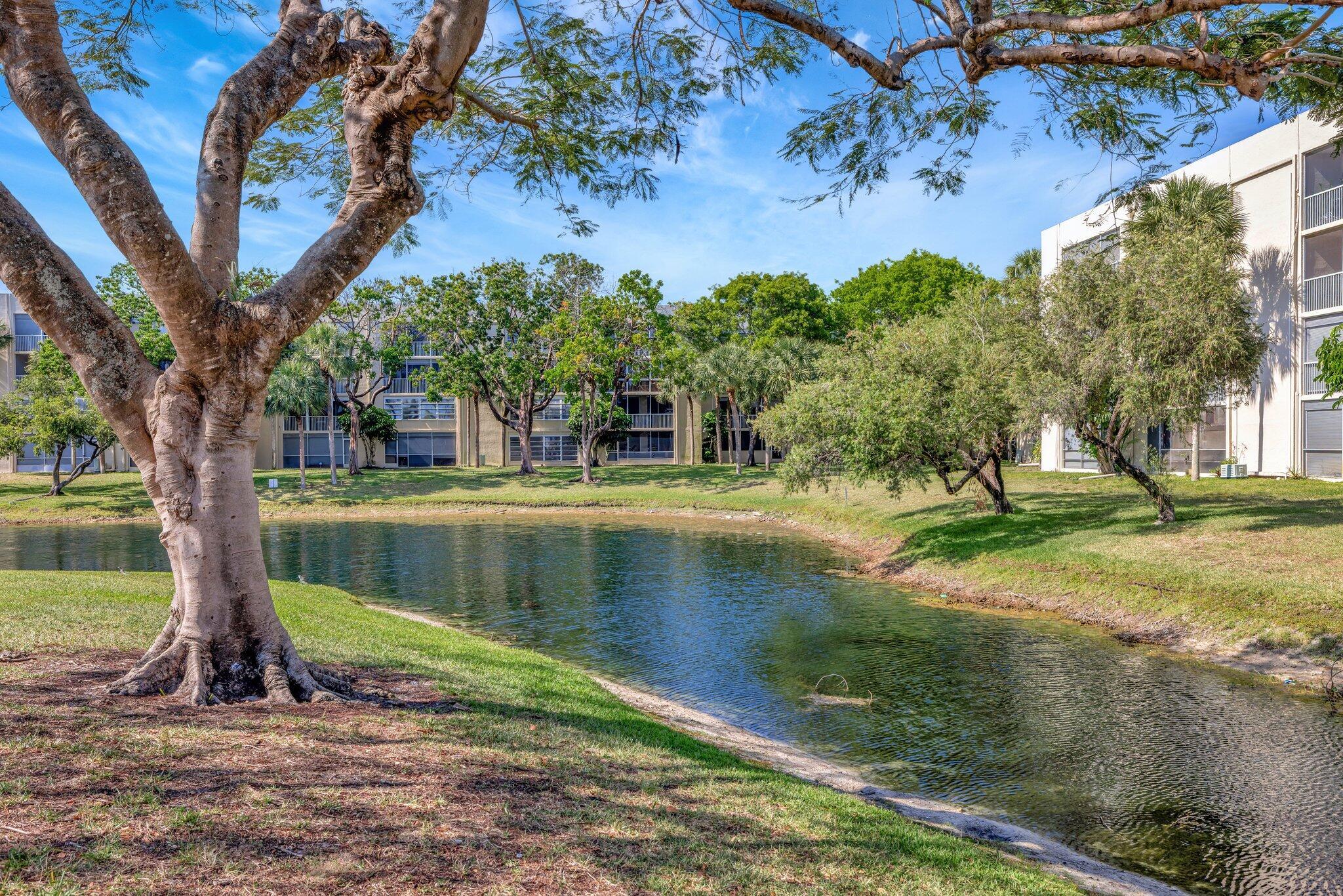 Cypress Chase North No 2