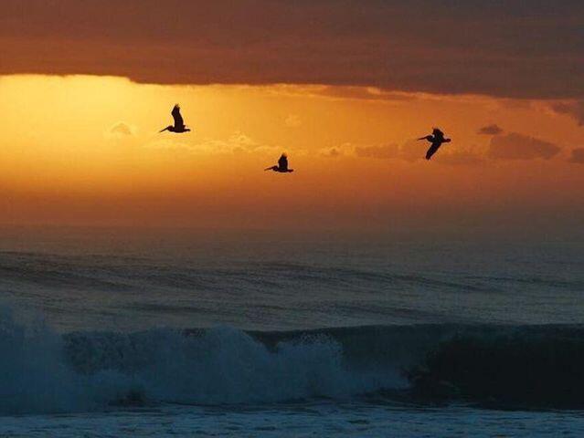 Homes for sale in Palm Beach Shores, FL | 125 S Ocean Avenue #207, Palm Beach Shores, FL 33404 | MLS# R11088101