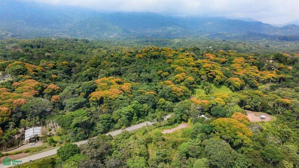 0 bed Land For Sale in Osa, Puntarenas - 1