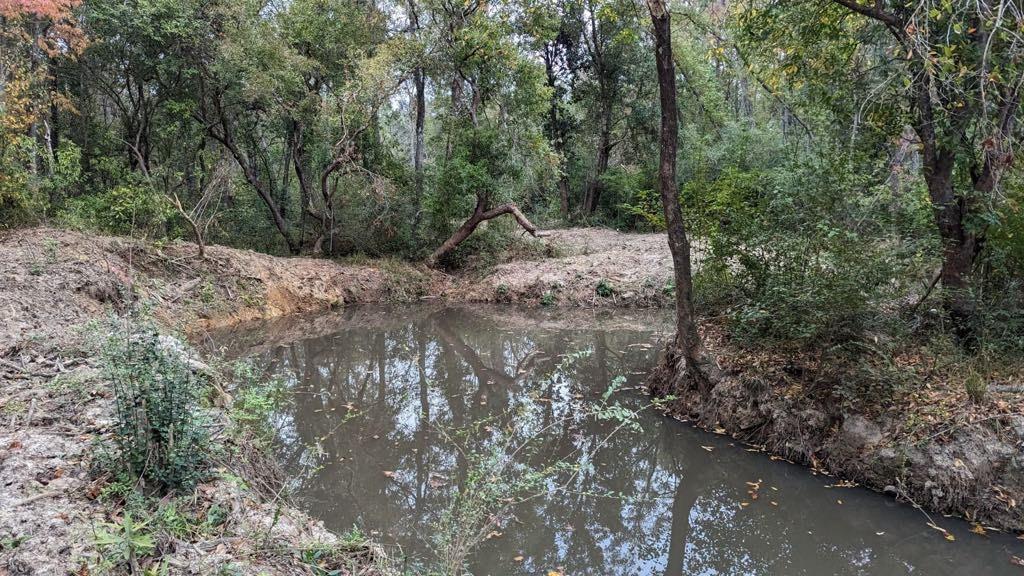 Homes for sale in Independence, LA | 54050 Addison Rd, Independence, LA 70443 | MLS# 2500501