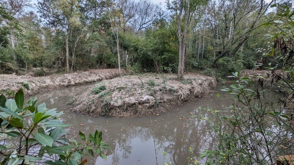 Homes for sale in Independence, LA | 54050 Addison Rd, Independence, LA 70443 | MLS# 2500501