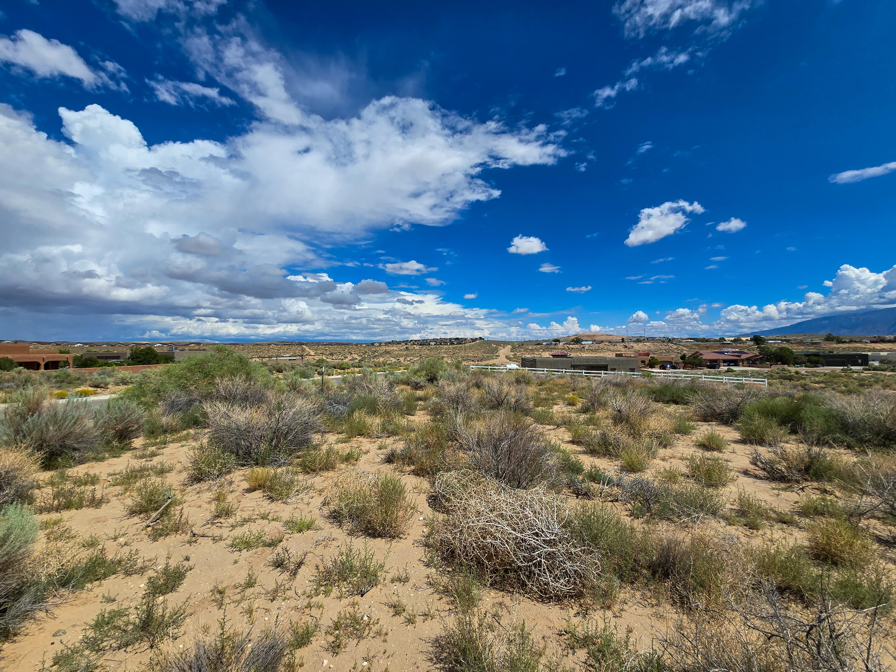 Photo 6 — 2320 Idalia Road