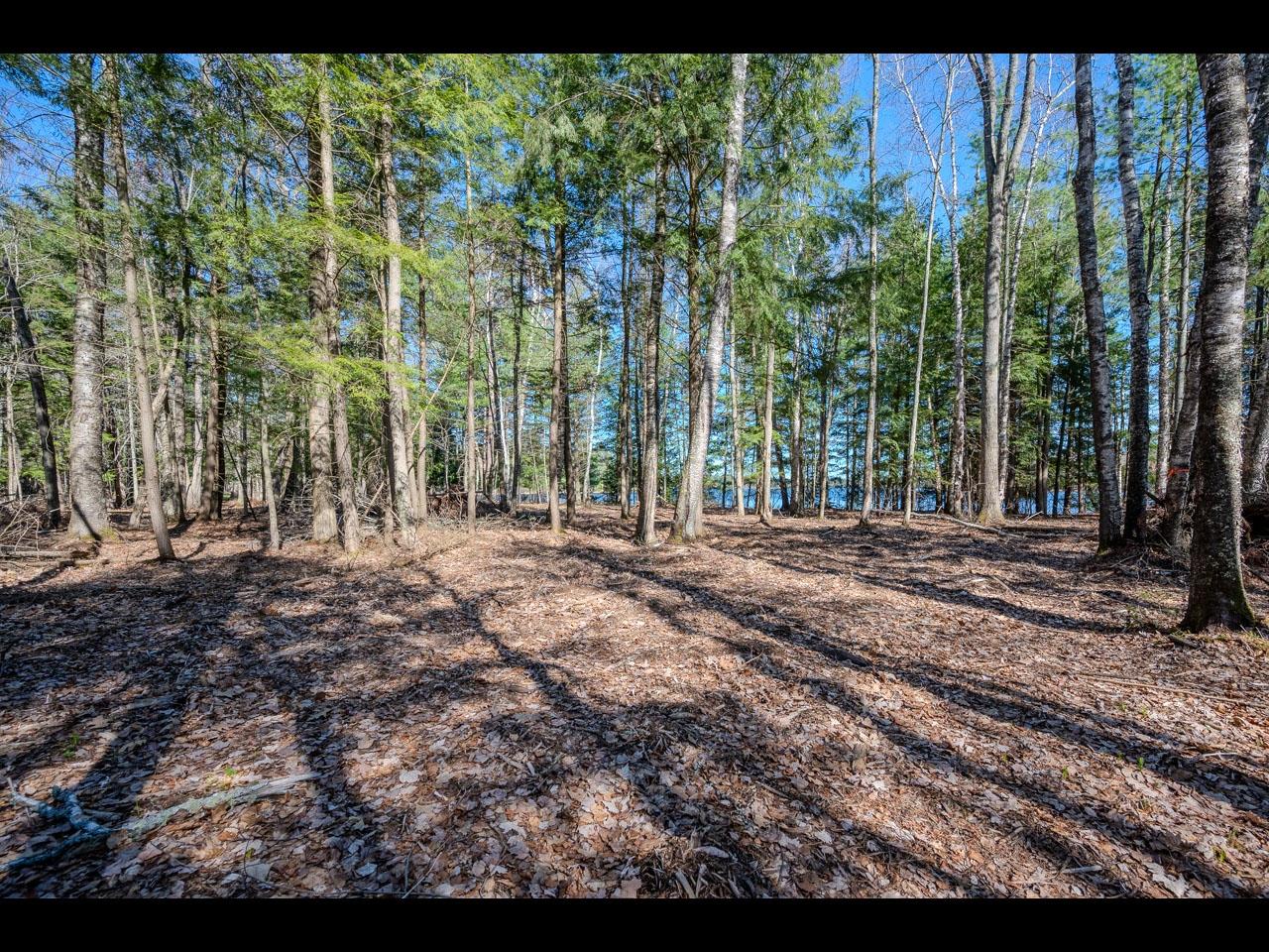 Clearwater Lake Property Lot 17 Memory Ln Photo 3